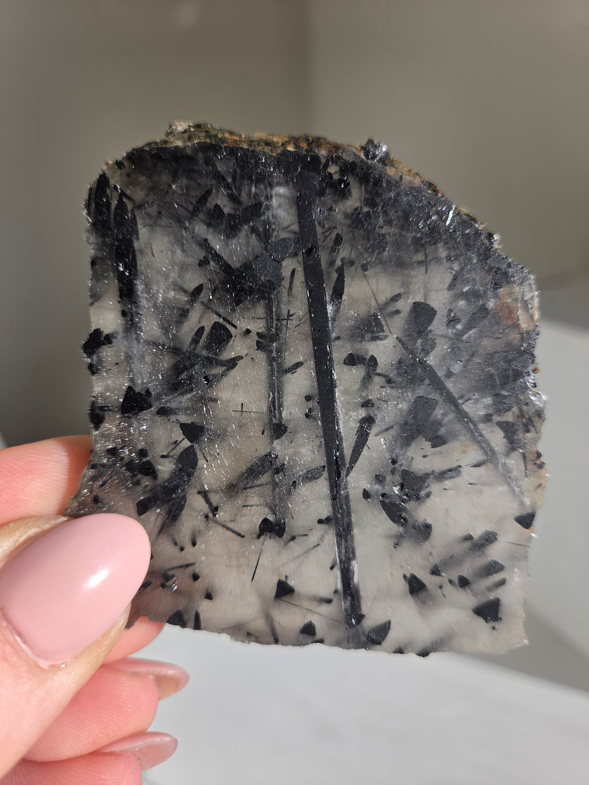 Black Tourmaline x Quartz Slab 002