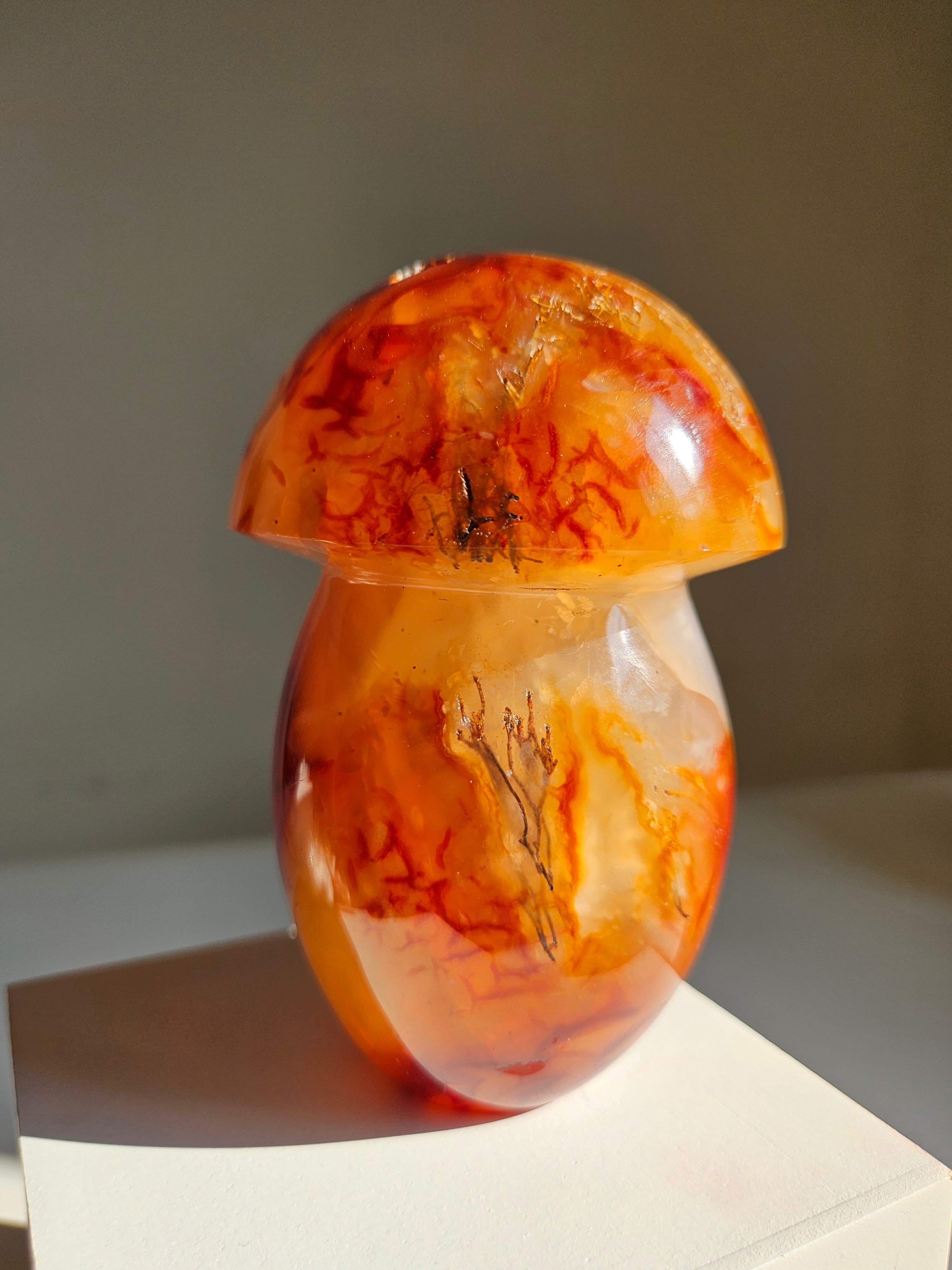 Carnelian Mushroom 005