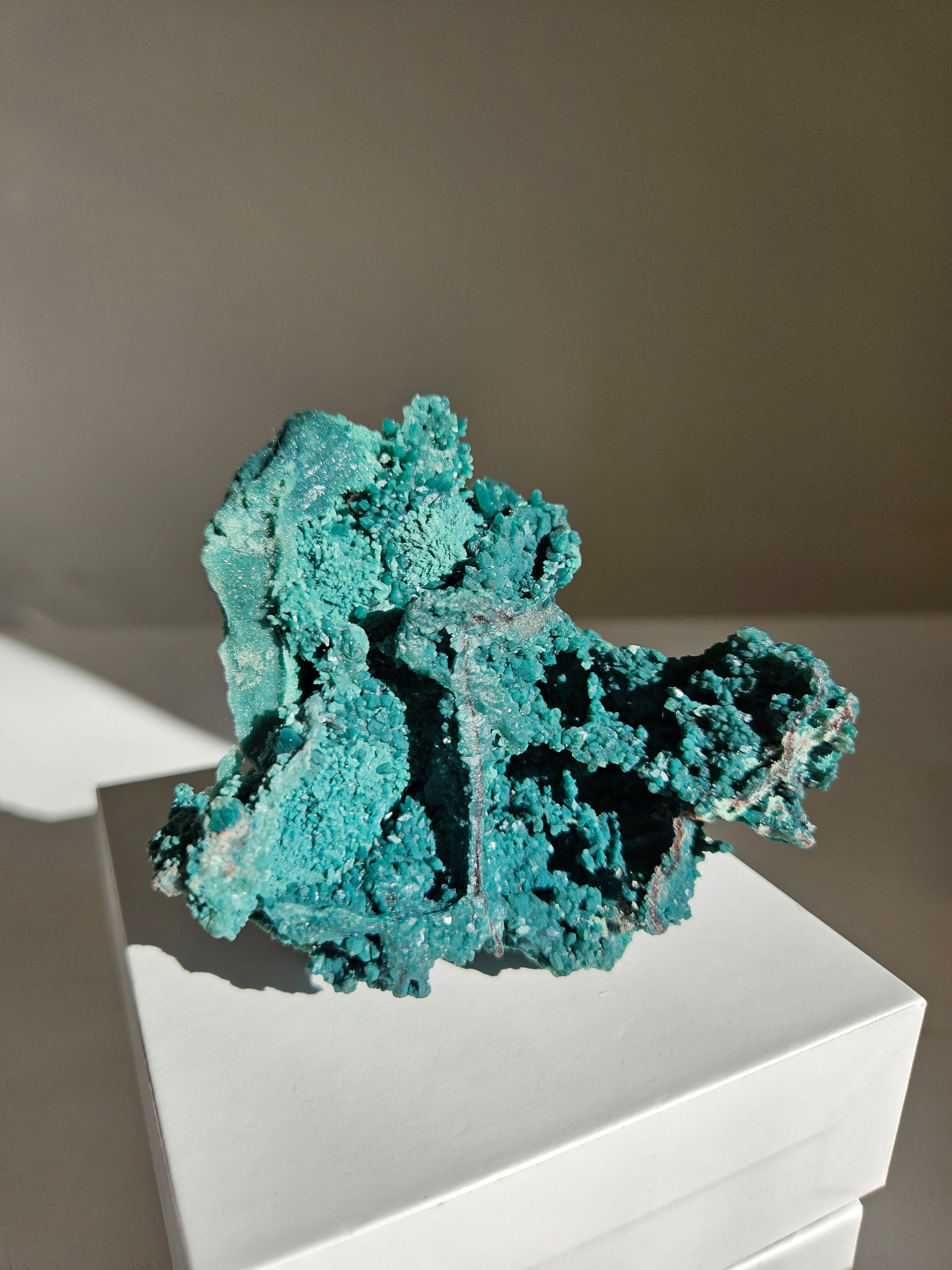 Marshy Green Apophyllite 013