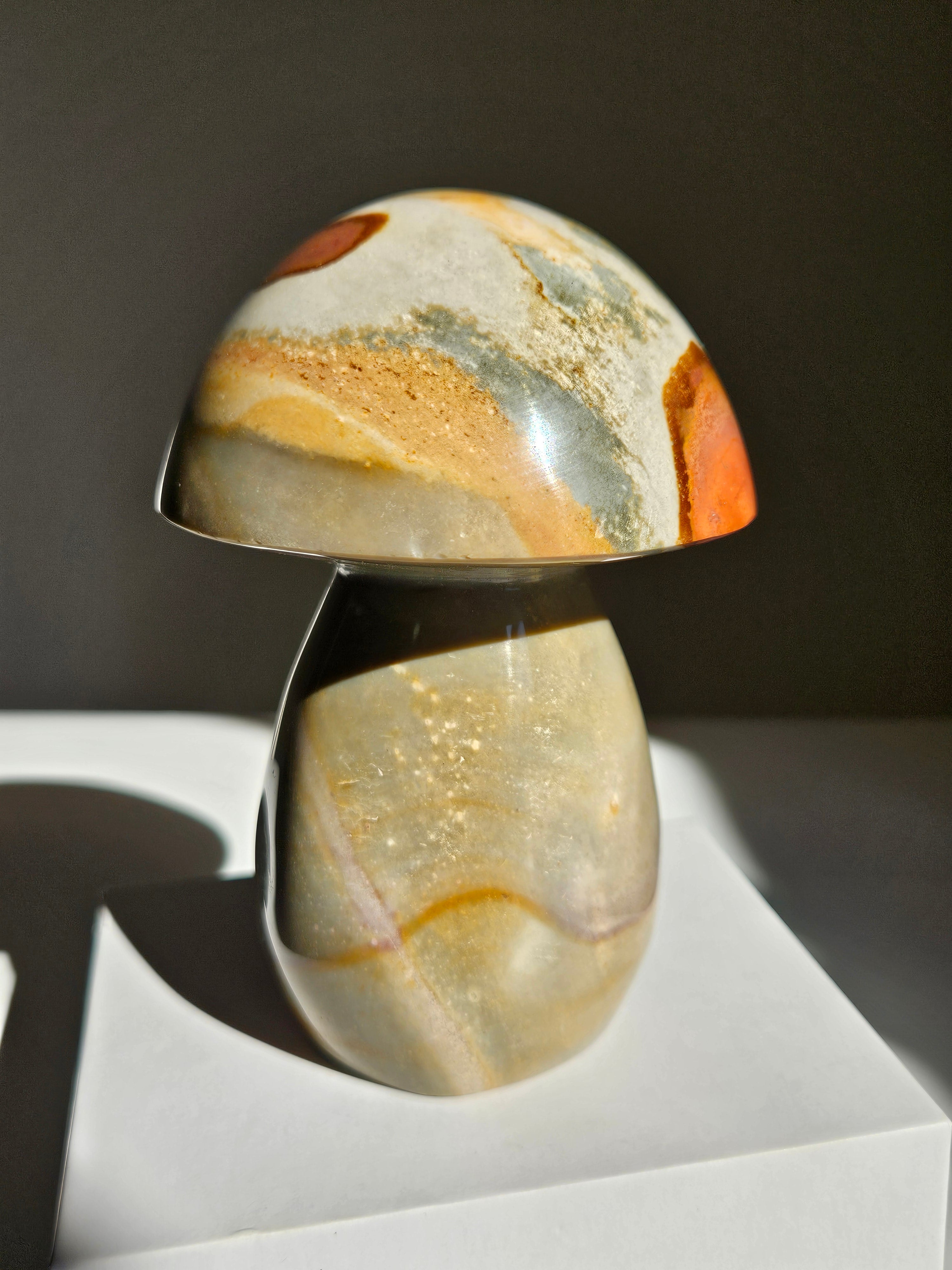 Polychrome Jasper Mushroom 008