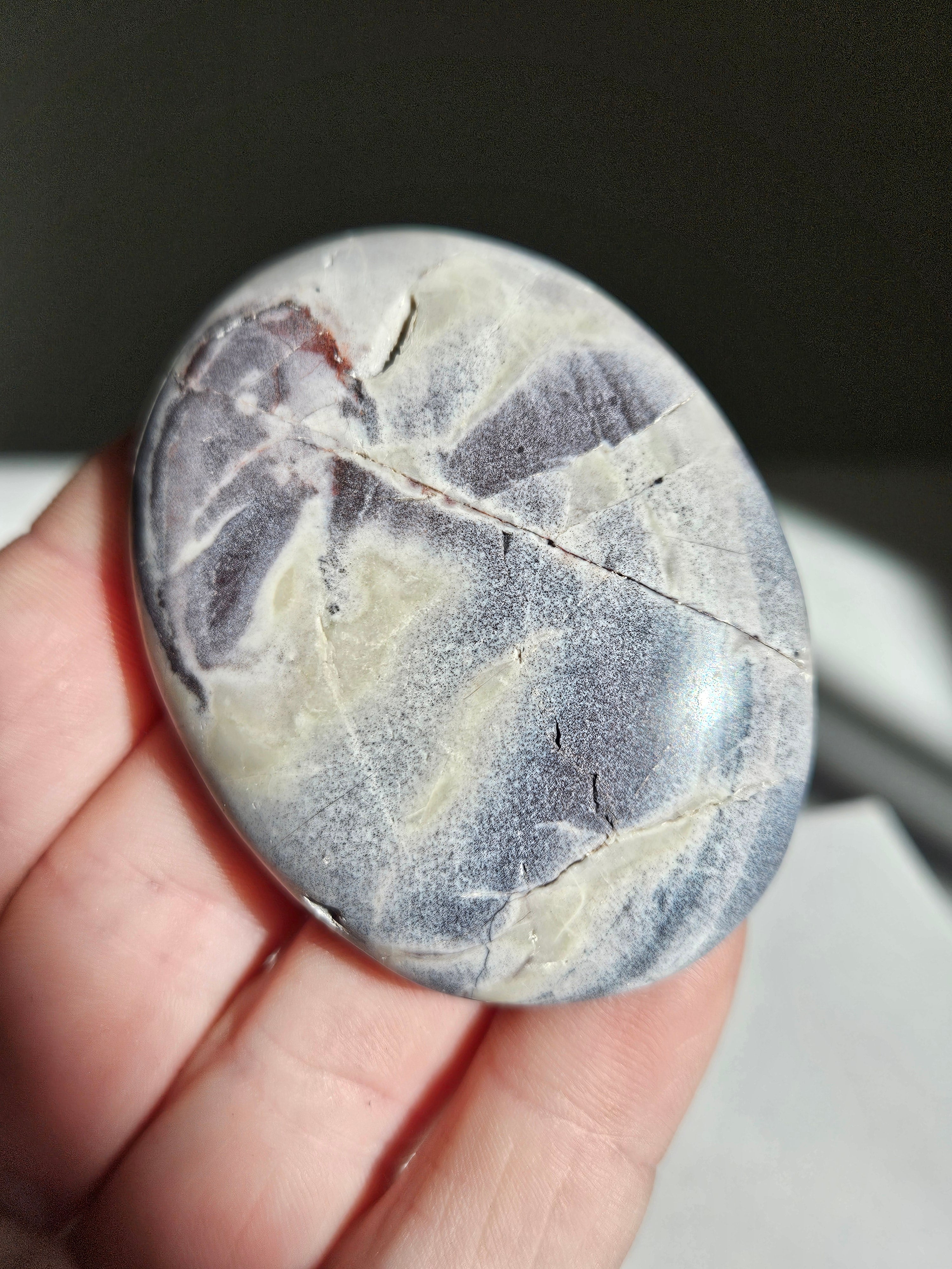 Hyacinth jasper palm 005