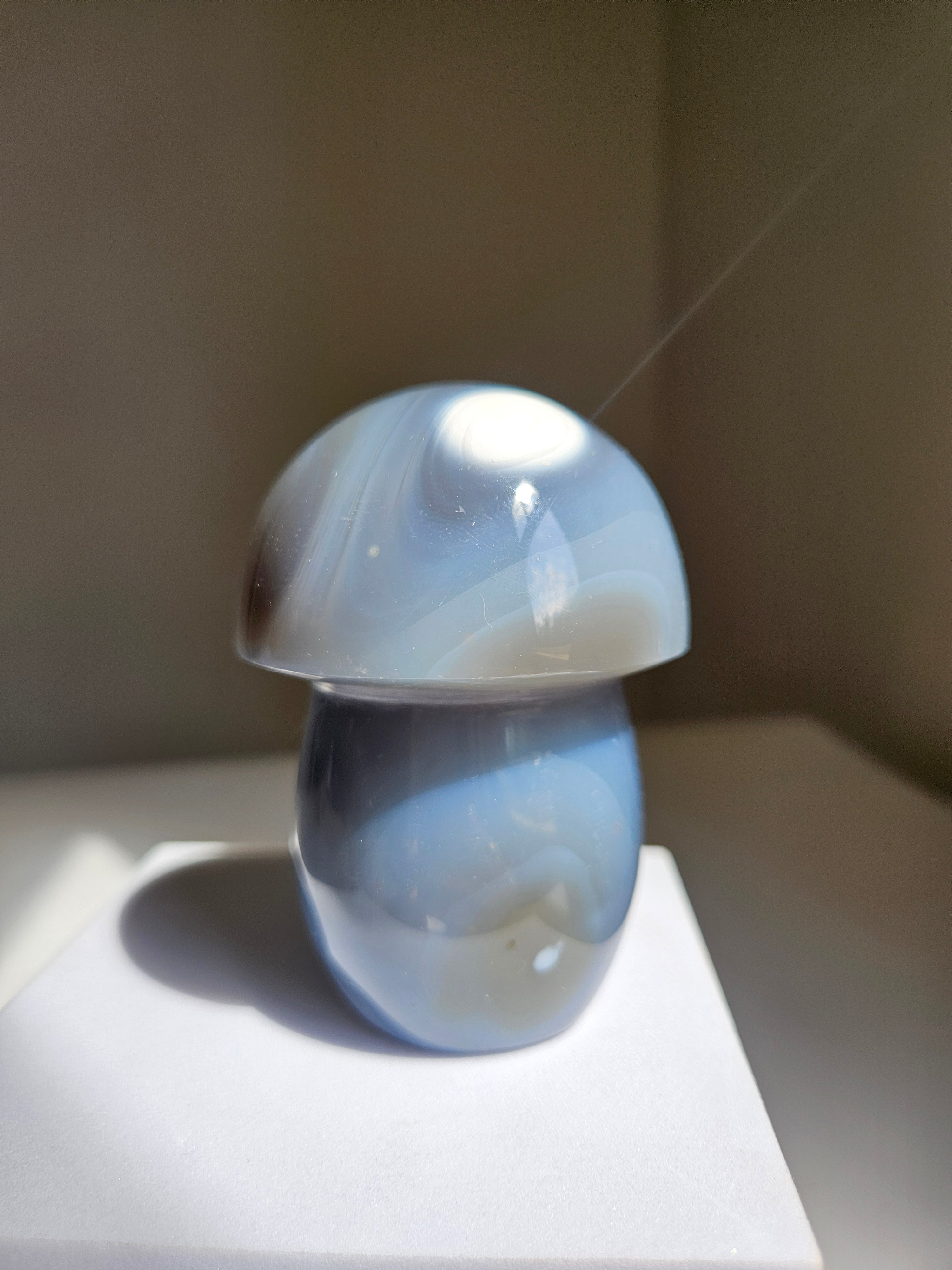 Orca Agate Mushroom 008
