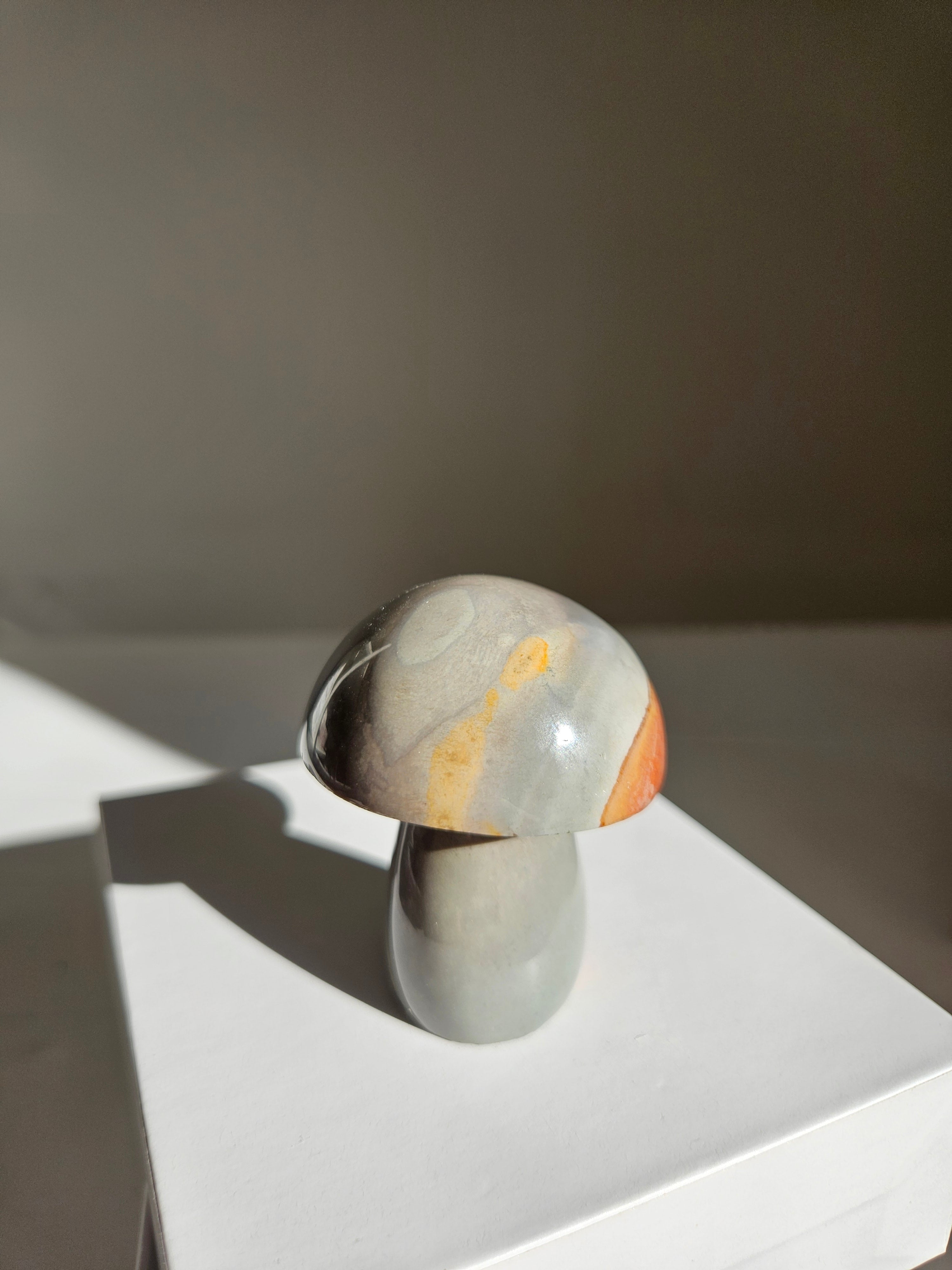 Polychrome Jasper Mushroom 003