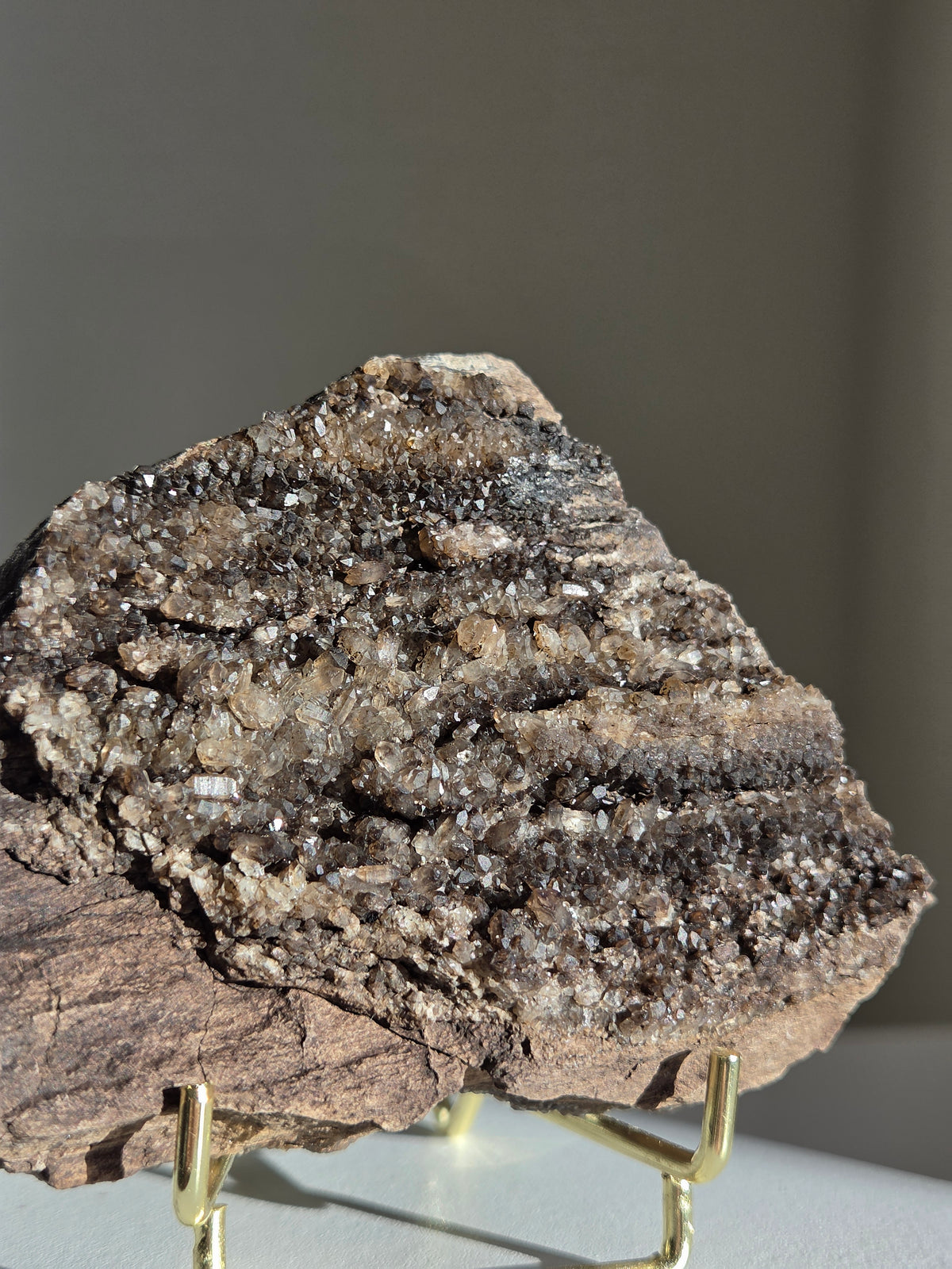 Smoky Quartz on Fossilized Wood 006