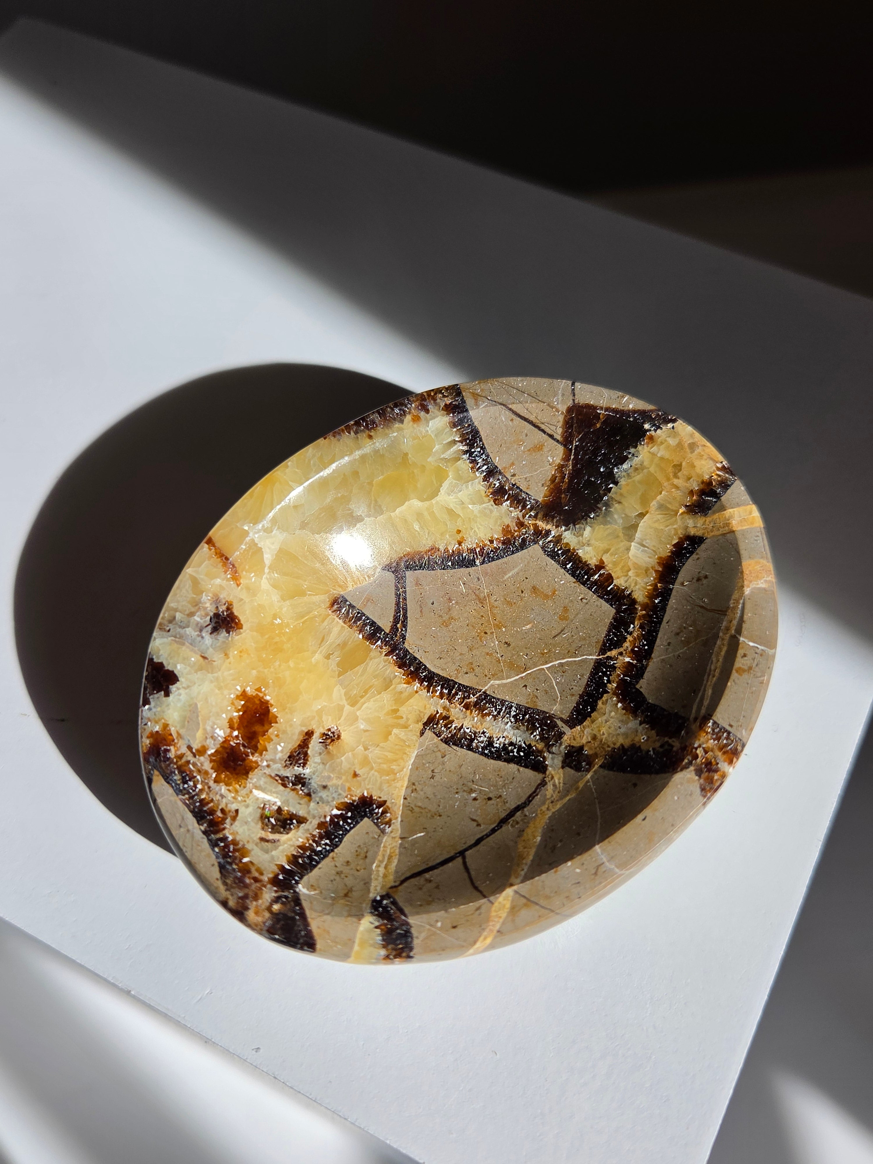Septarian Bowl 002