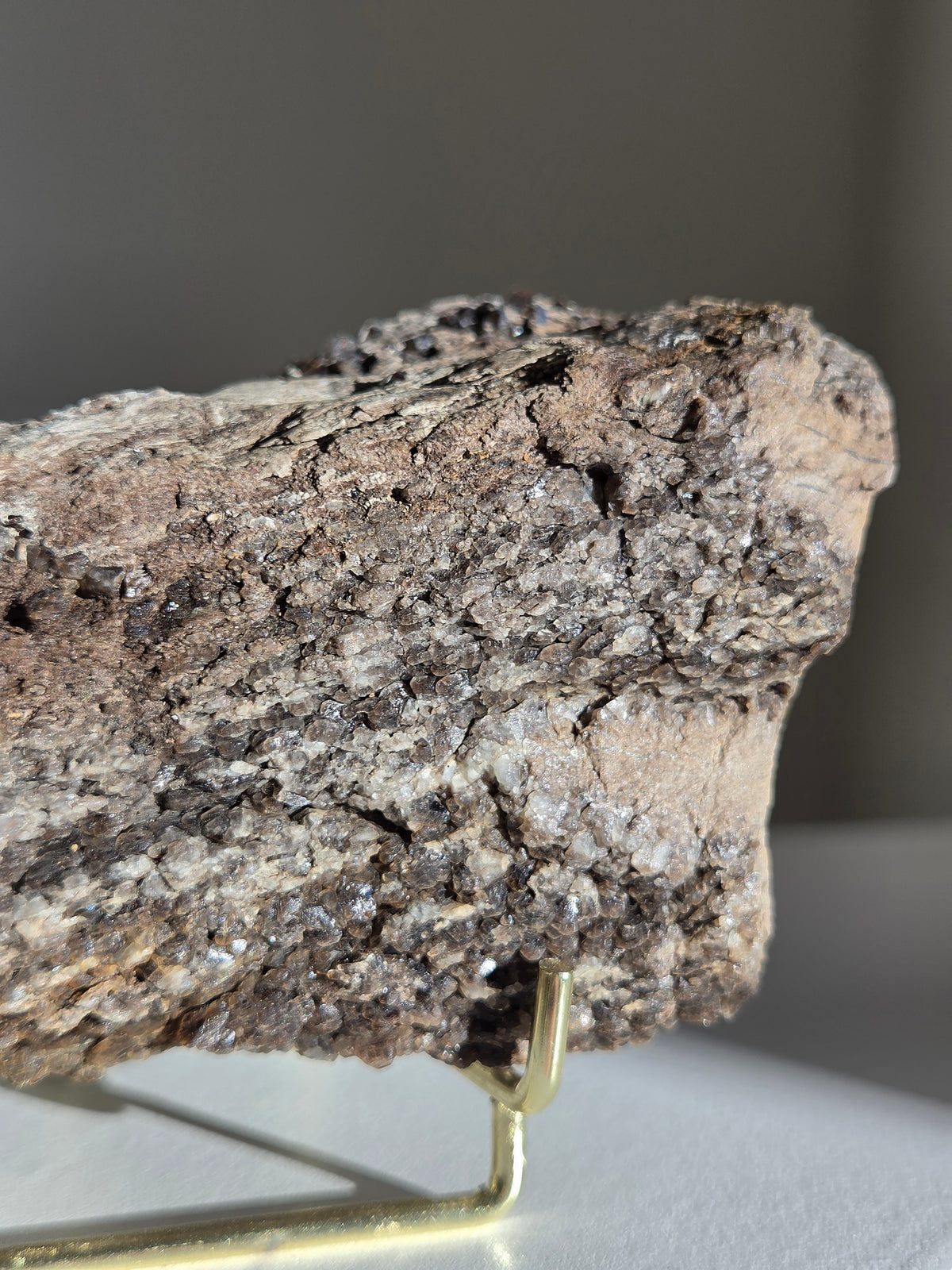 Smoky Quartz on Fossilized Wood 005