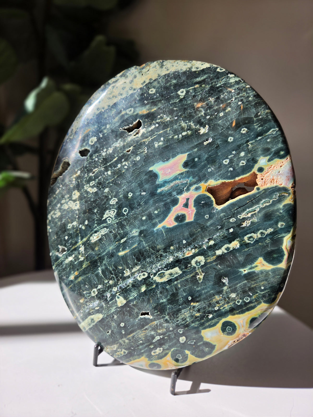 Sea Jasper Slab 014