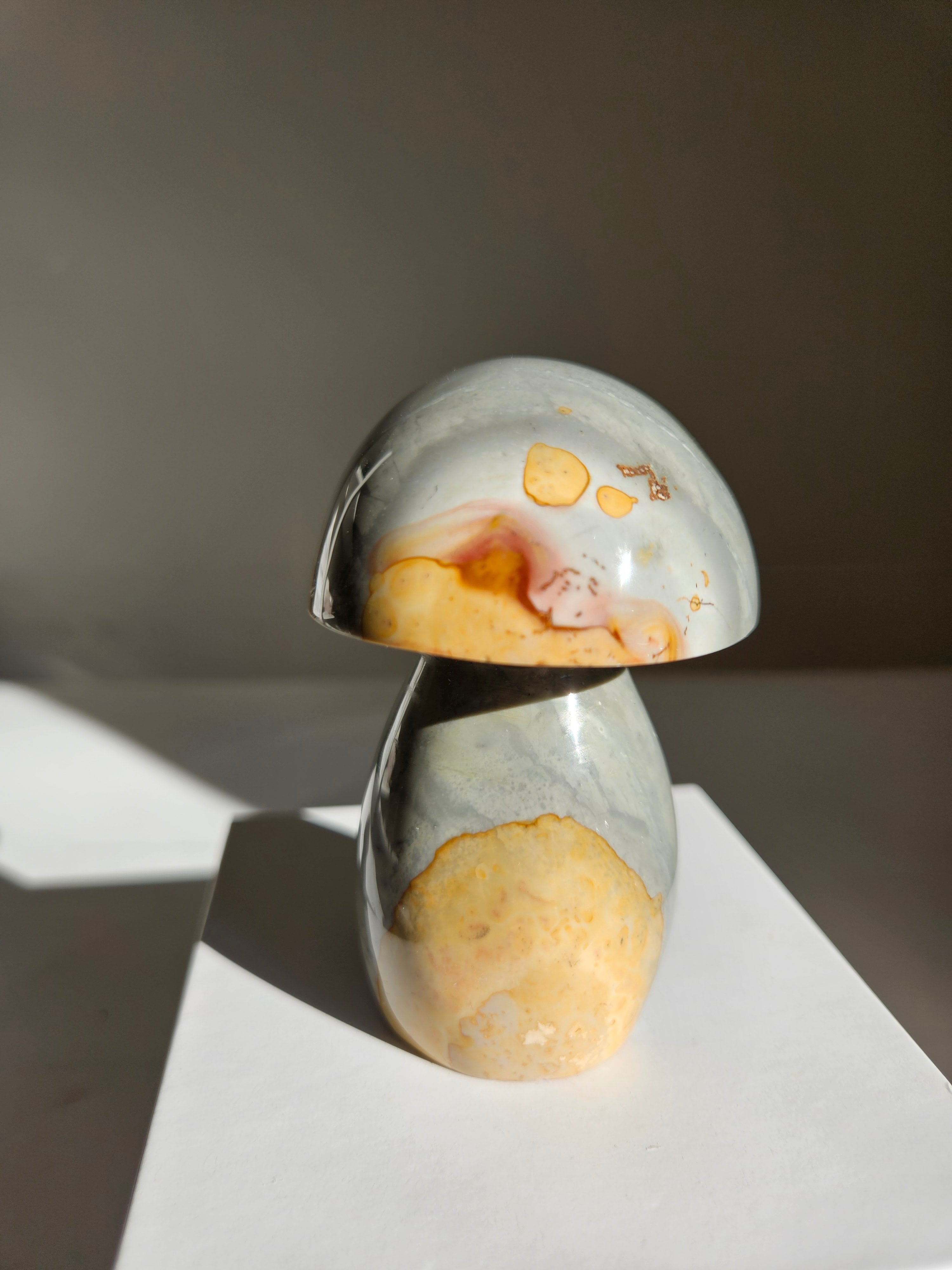 Polychrome Jasper Mushroom 005