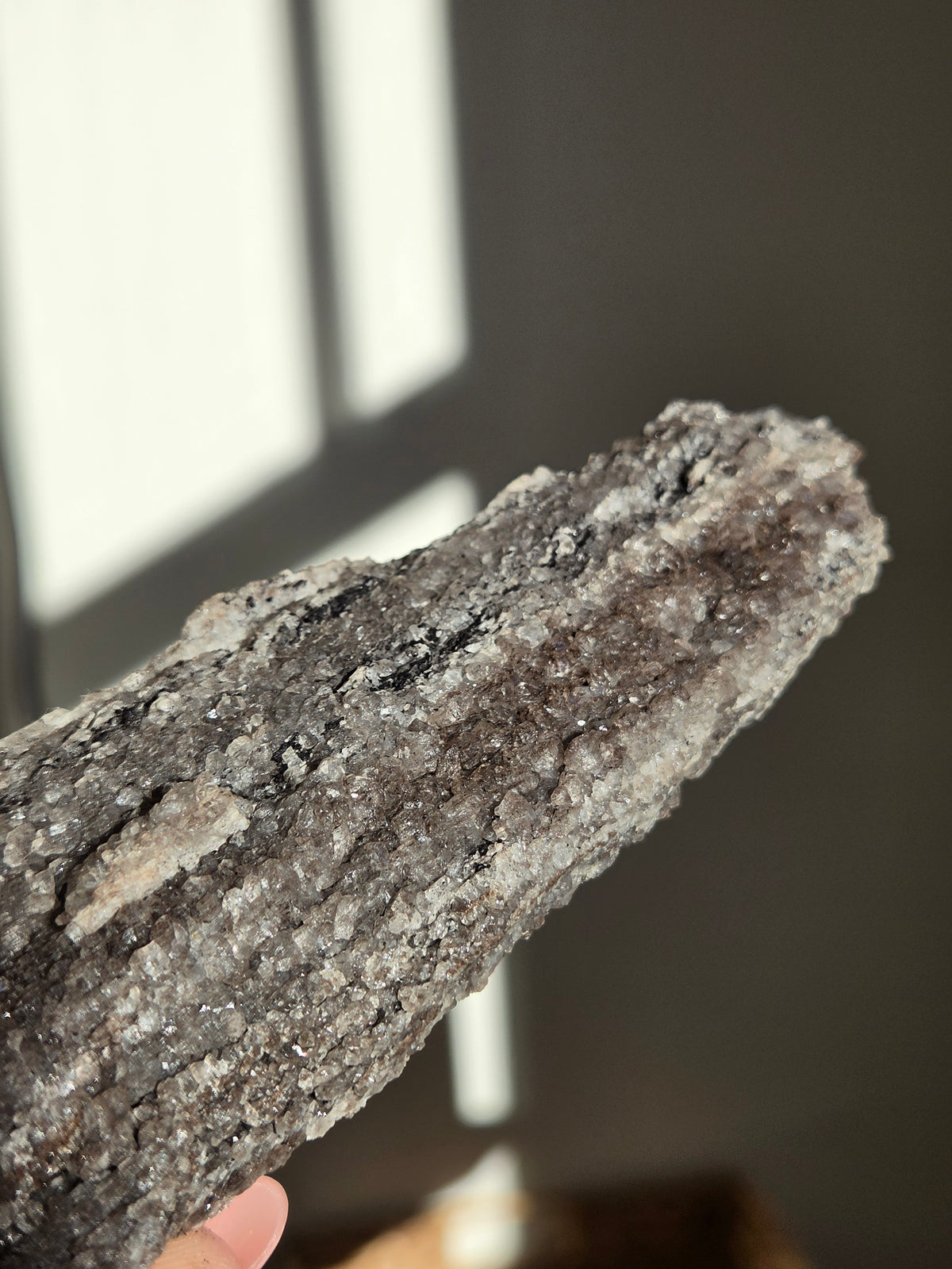 Smoky Quartz on Fossilized Wood 007