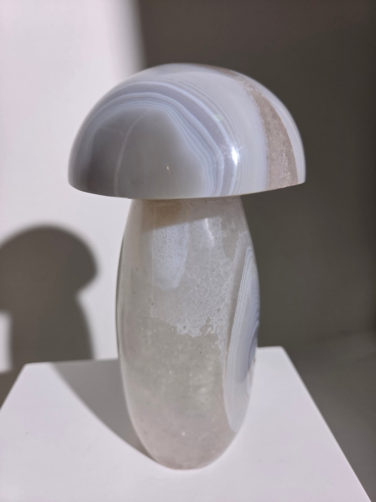 Banded Agate Mushroom