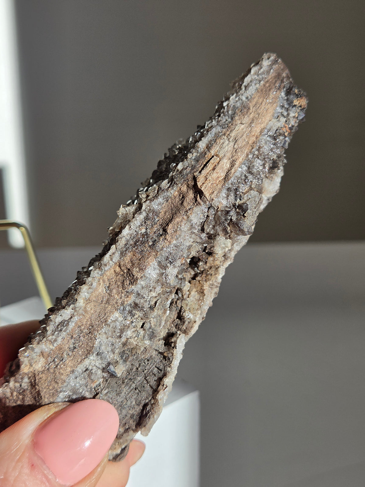 Smoky Quartz on Fossilized Wood 004