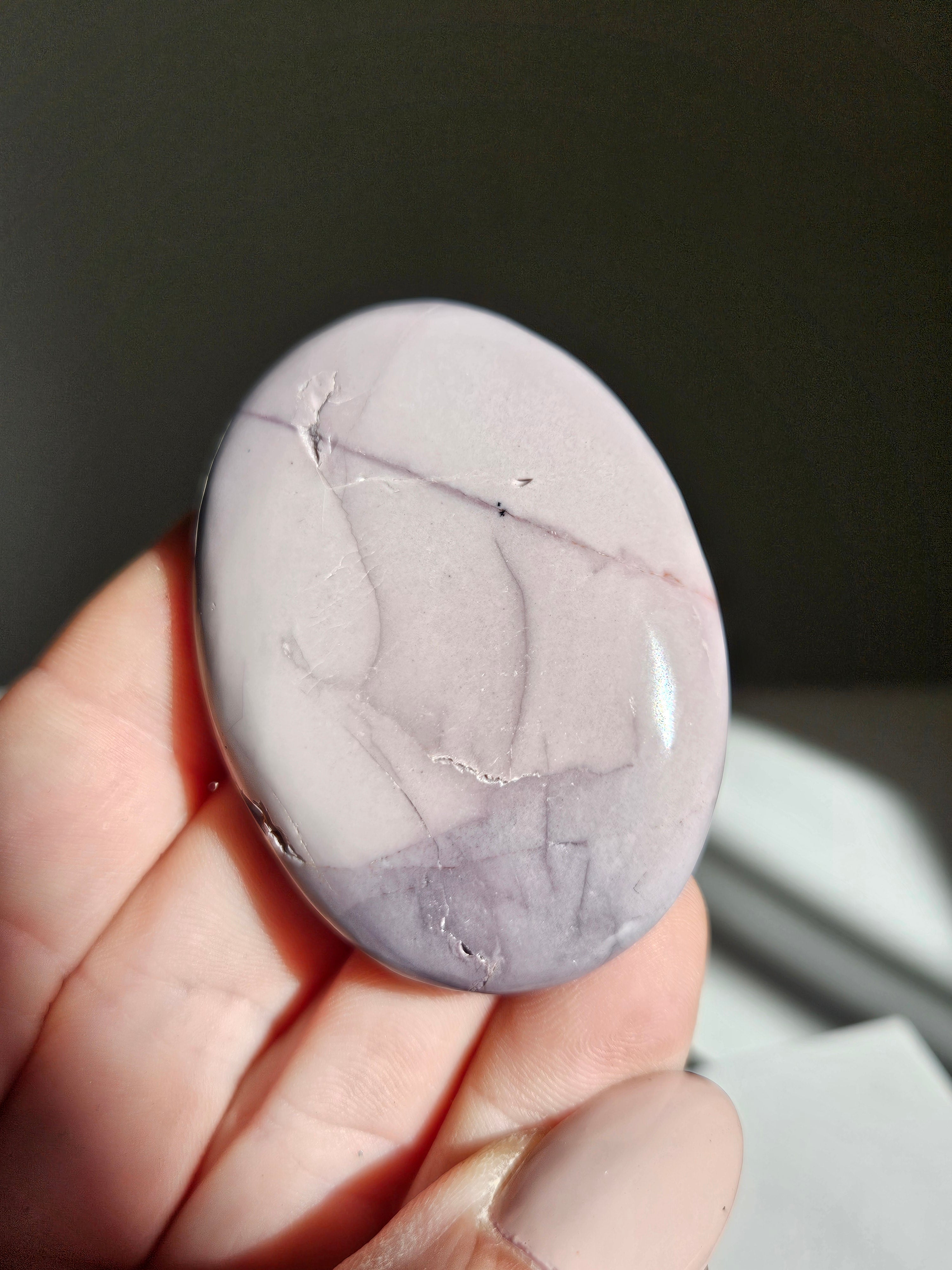 Hyacinth jasper palm 002
