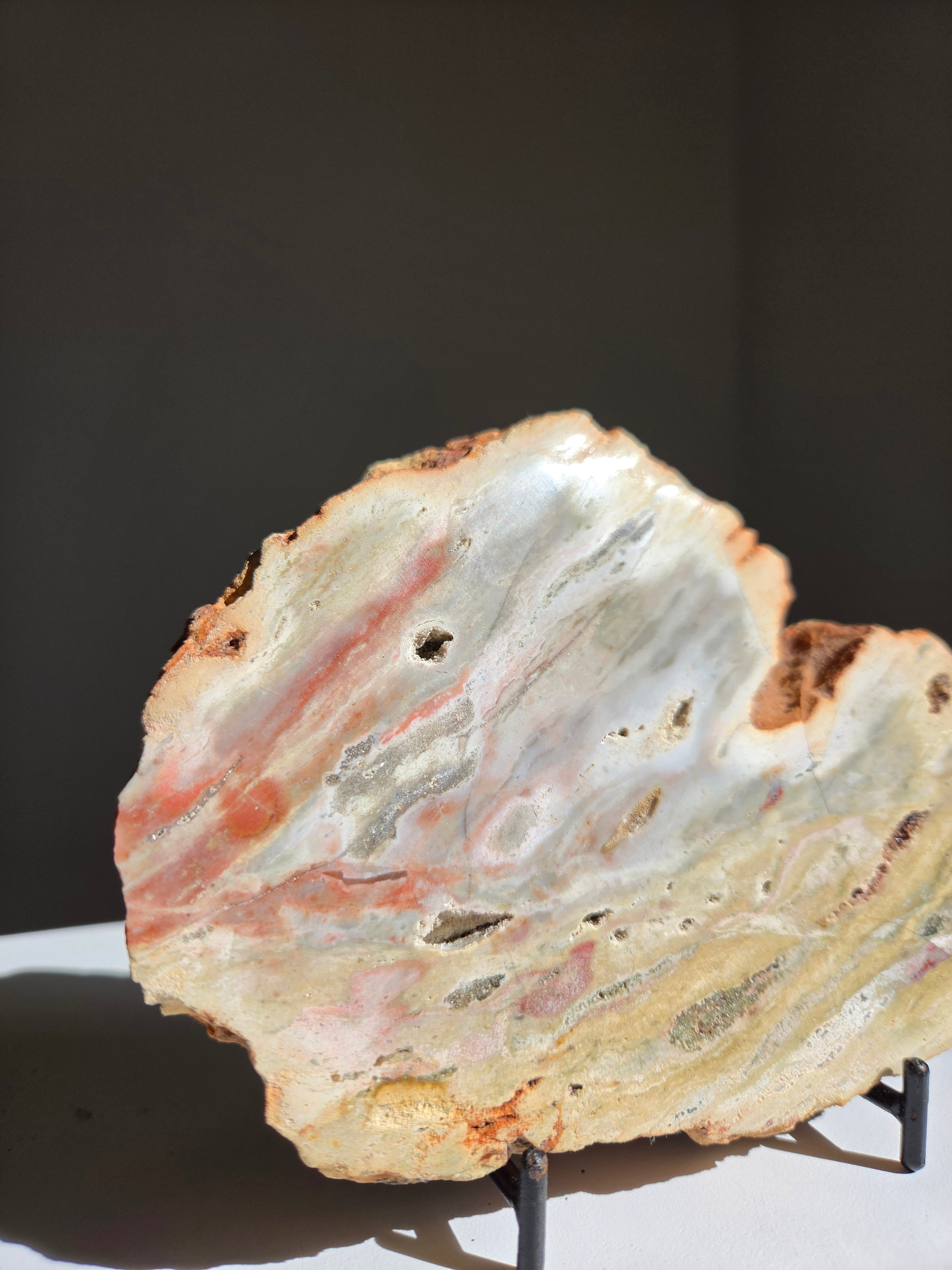 Sea Jasper Slab 005