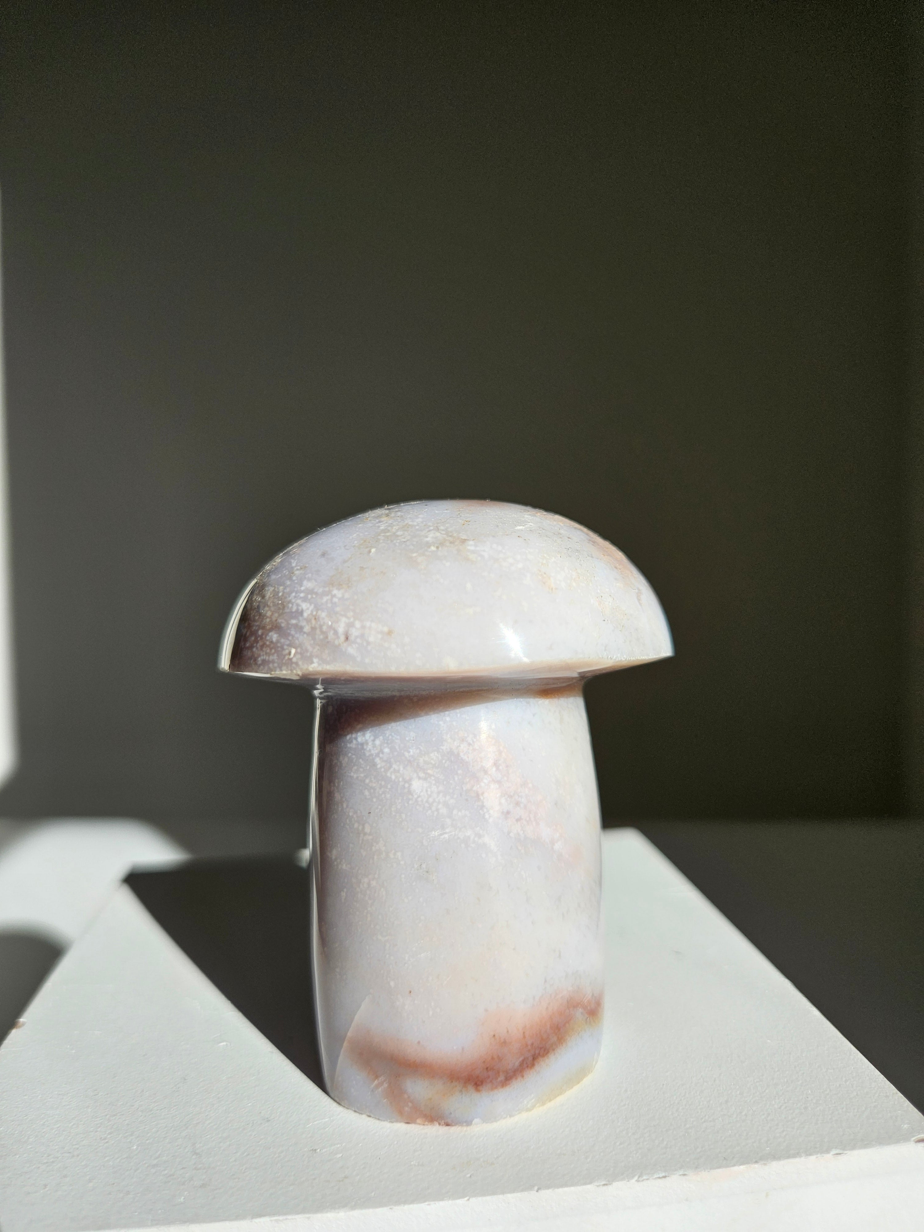 Sea jasper mushroom 008