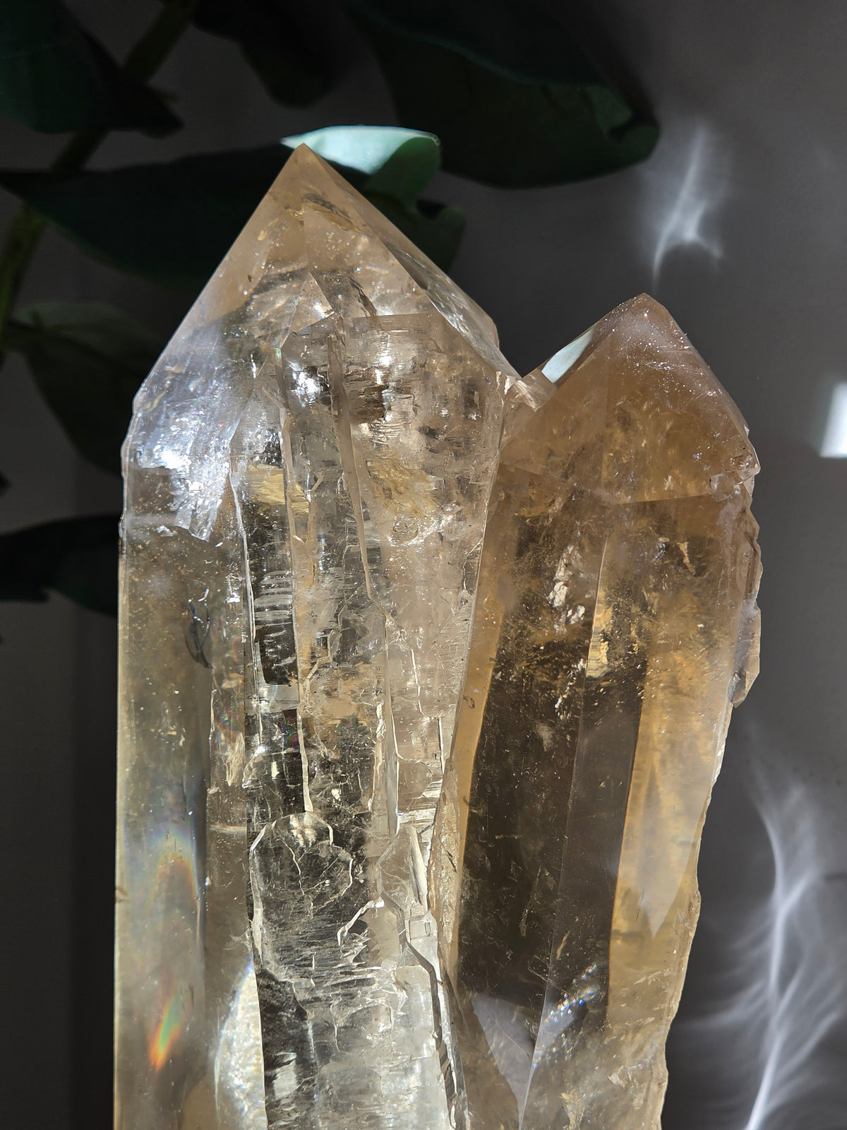 Semipolished Citrine Lemurian Twin Statement