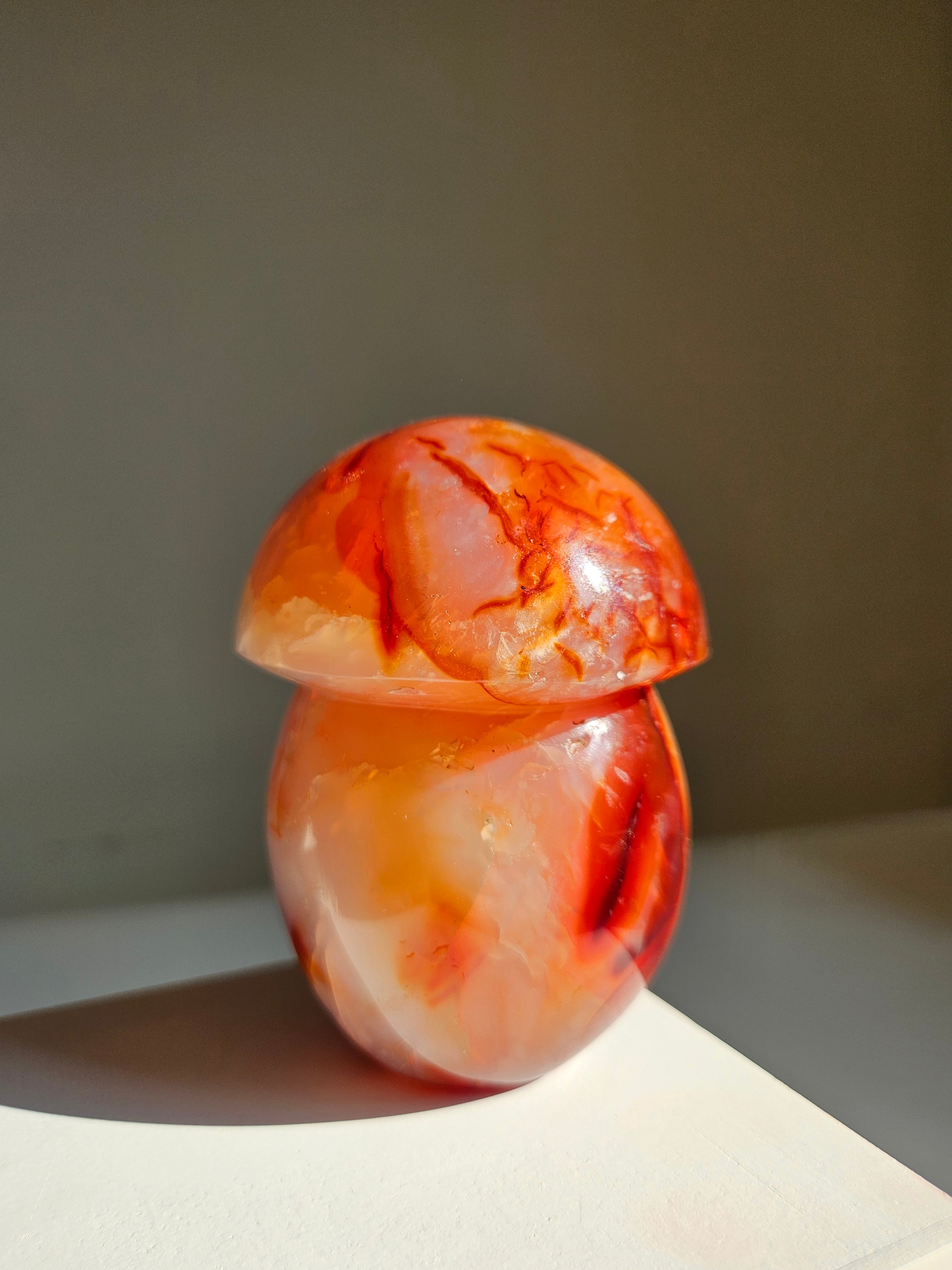 Carnelian Mushroom 003