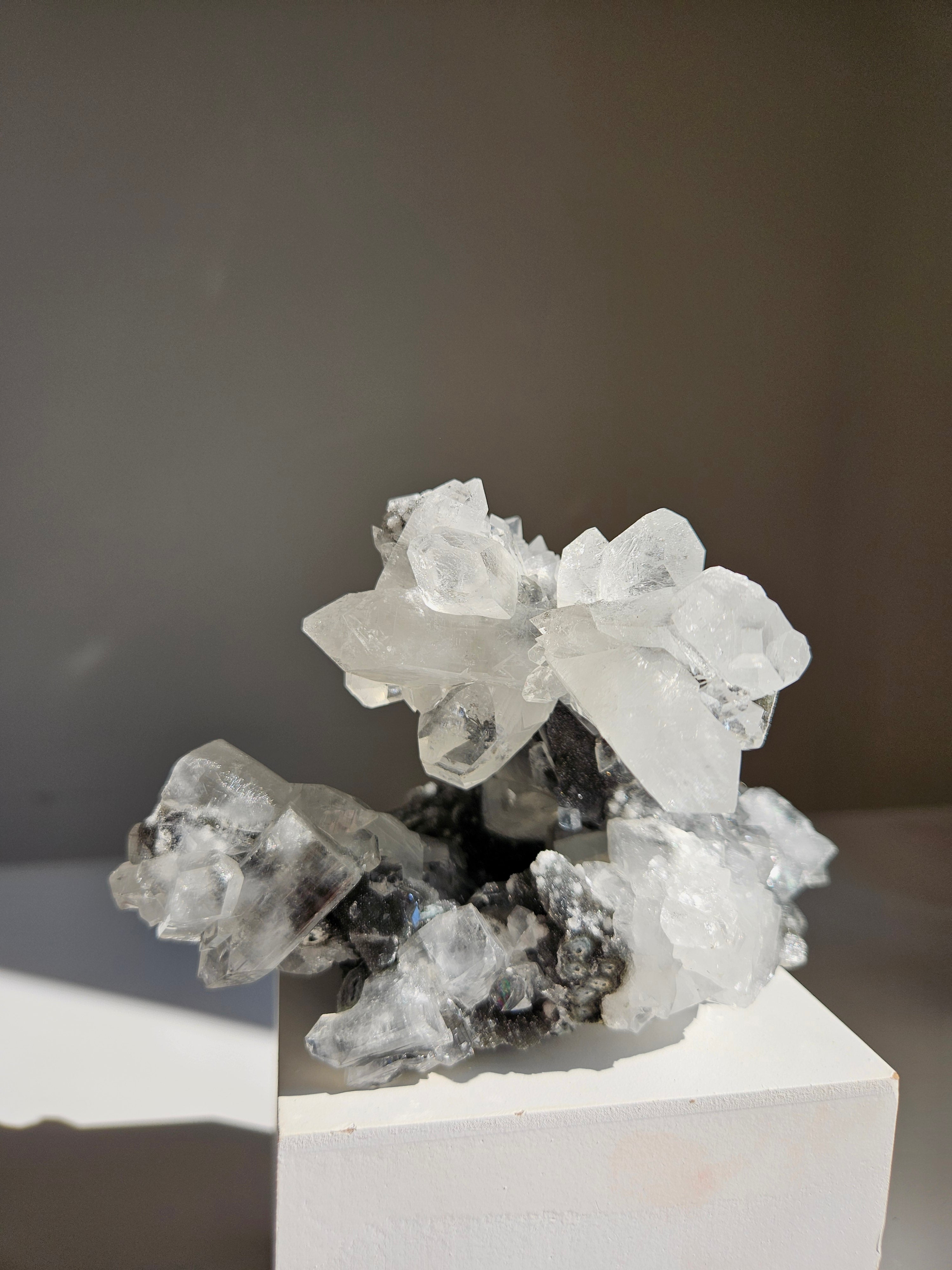 Apophyllite on Black Chalcedony 023