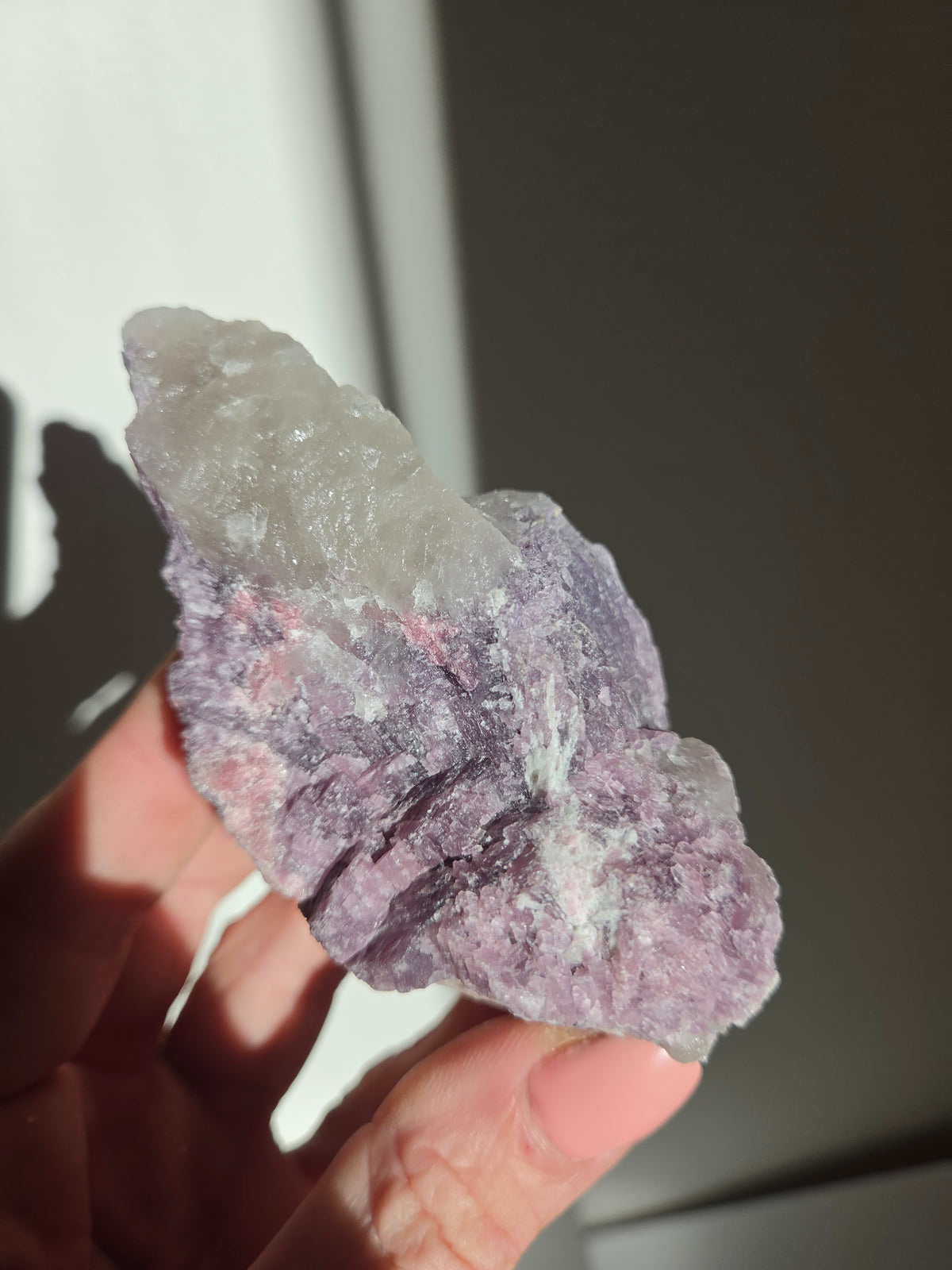 Tourmaline x Quartz Specimen 010