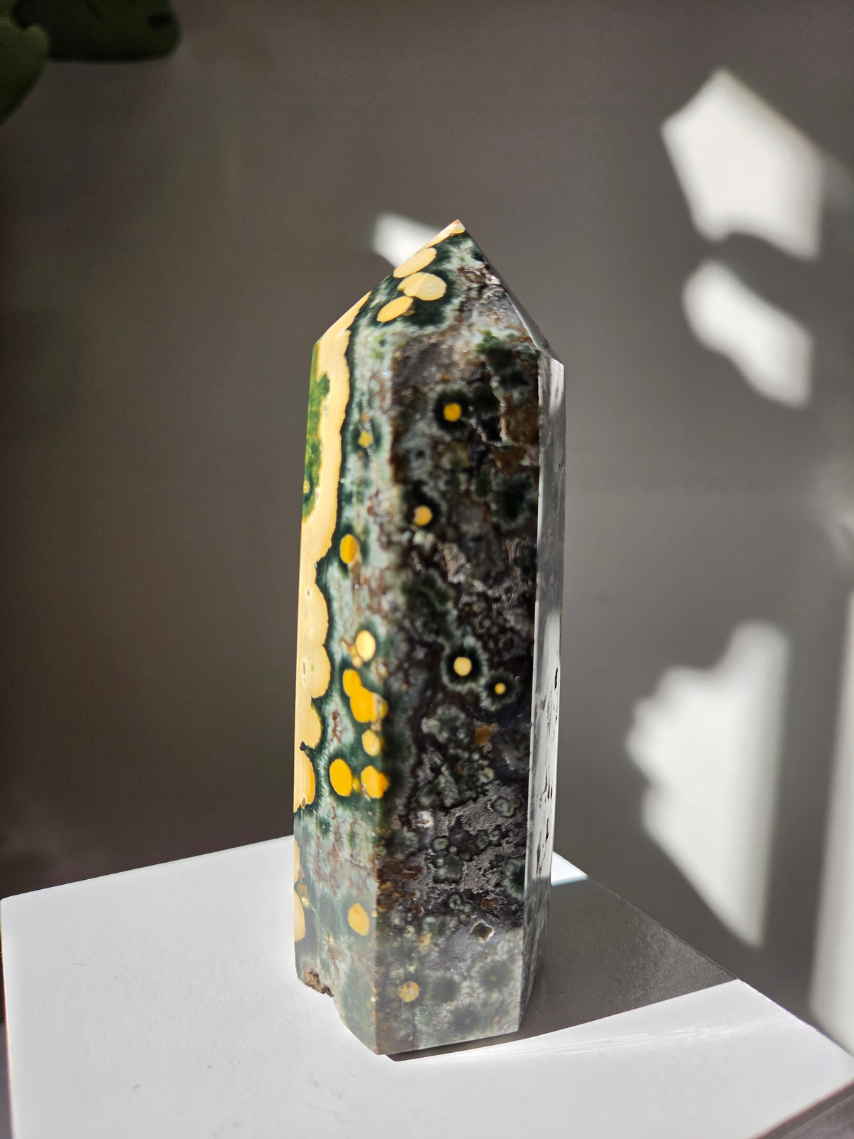 Sea Jasper Tower 005
