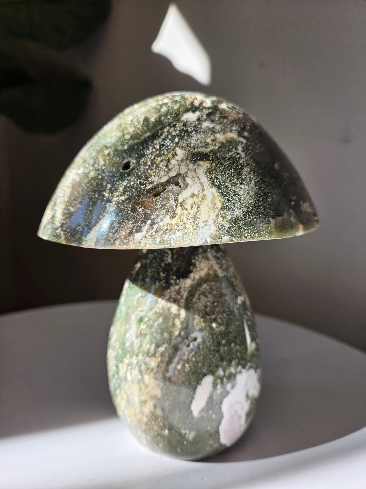 XL Sea Jasper Mushroom 001