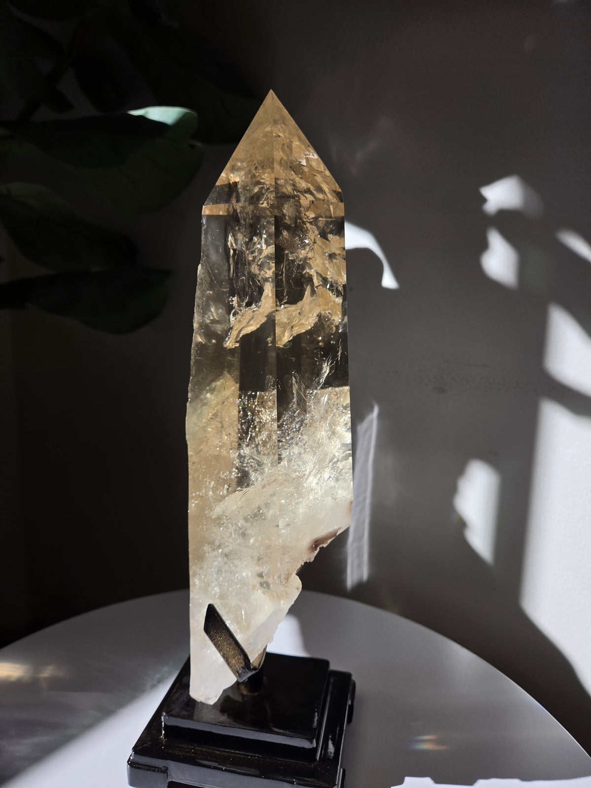 Semipolished Citrine Lemurian Statement