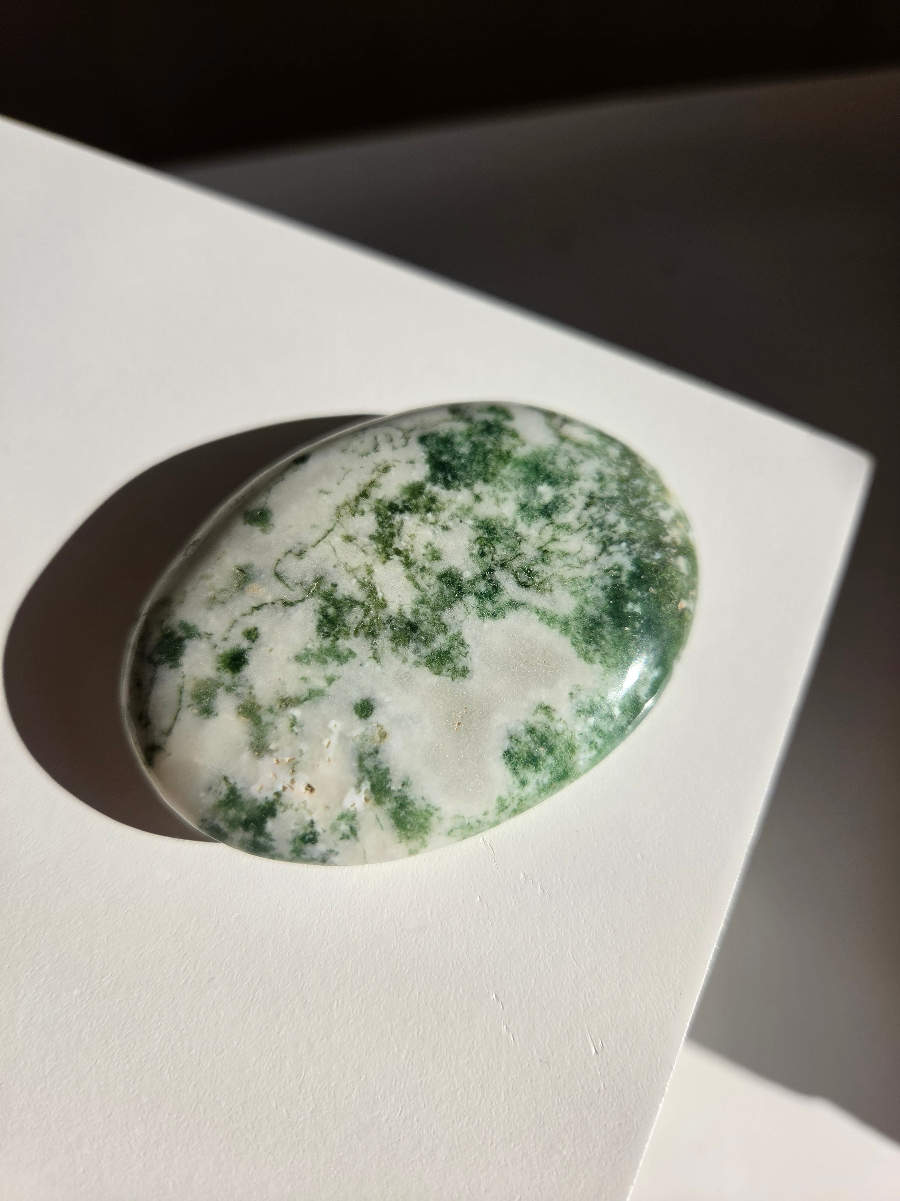 Tree Agate Palmstone 003