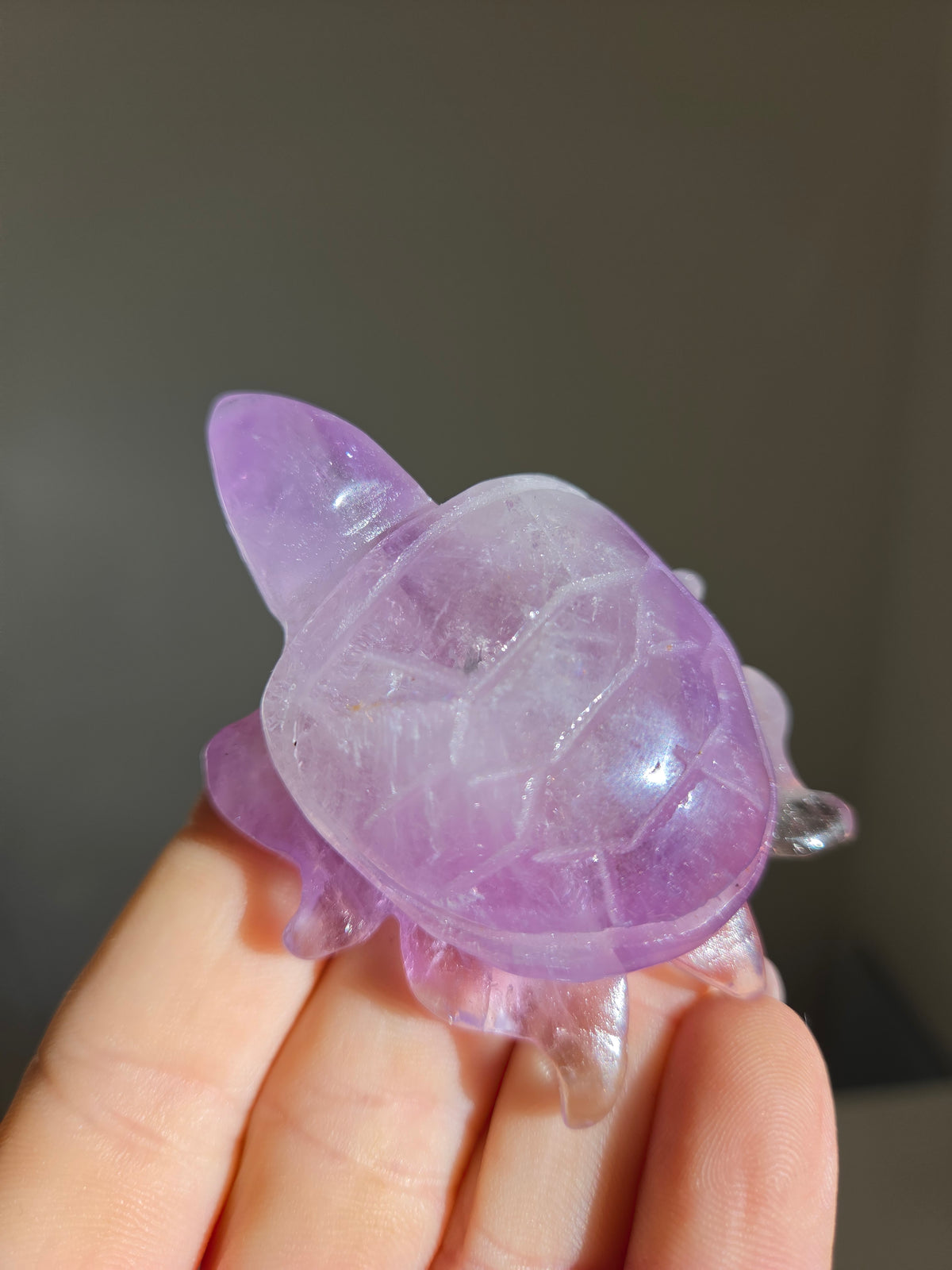 Amethyst Turtle 002