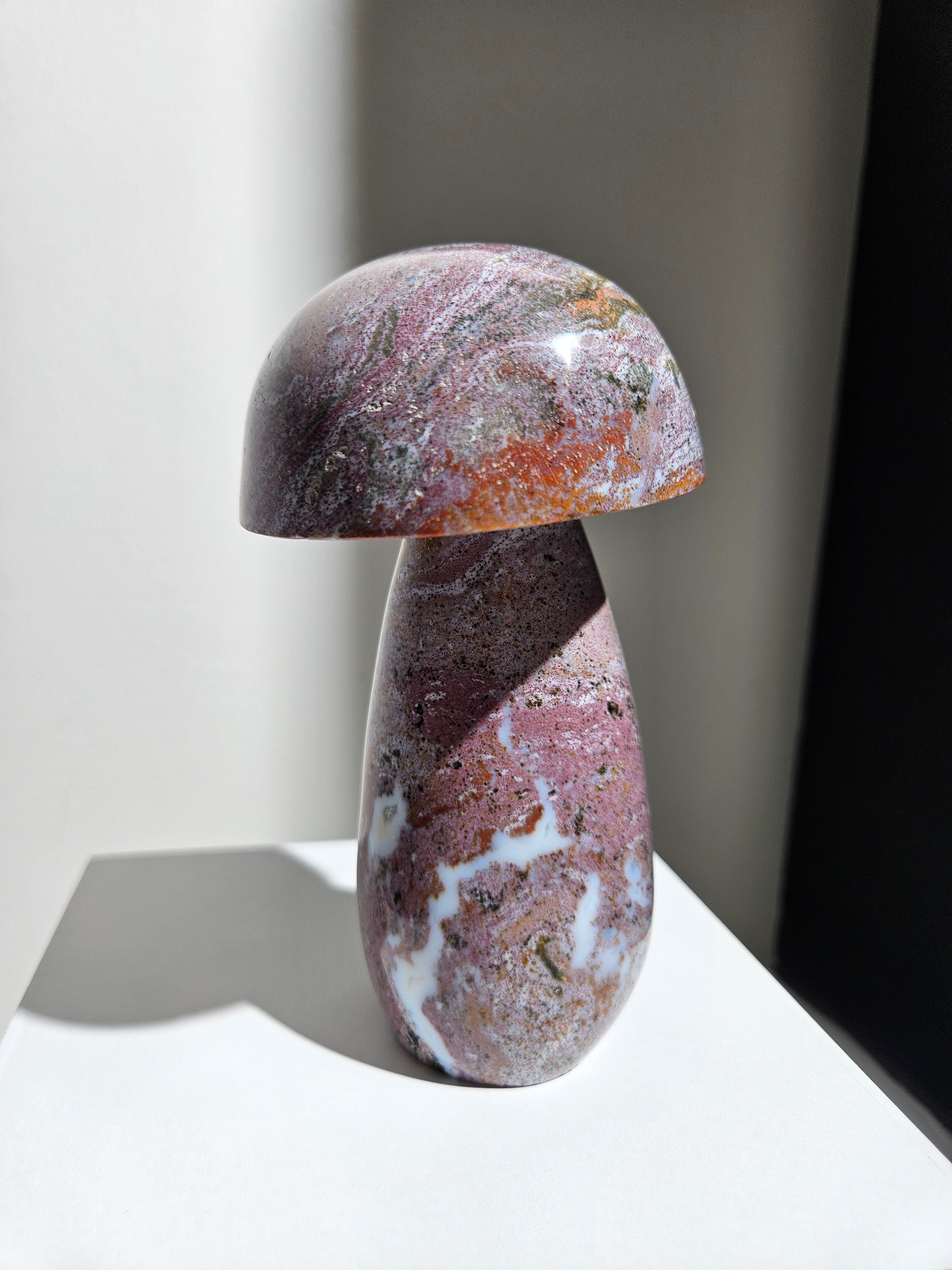 Sea Jasper Mushroom 011