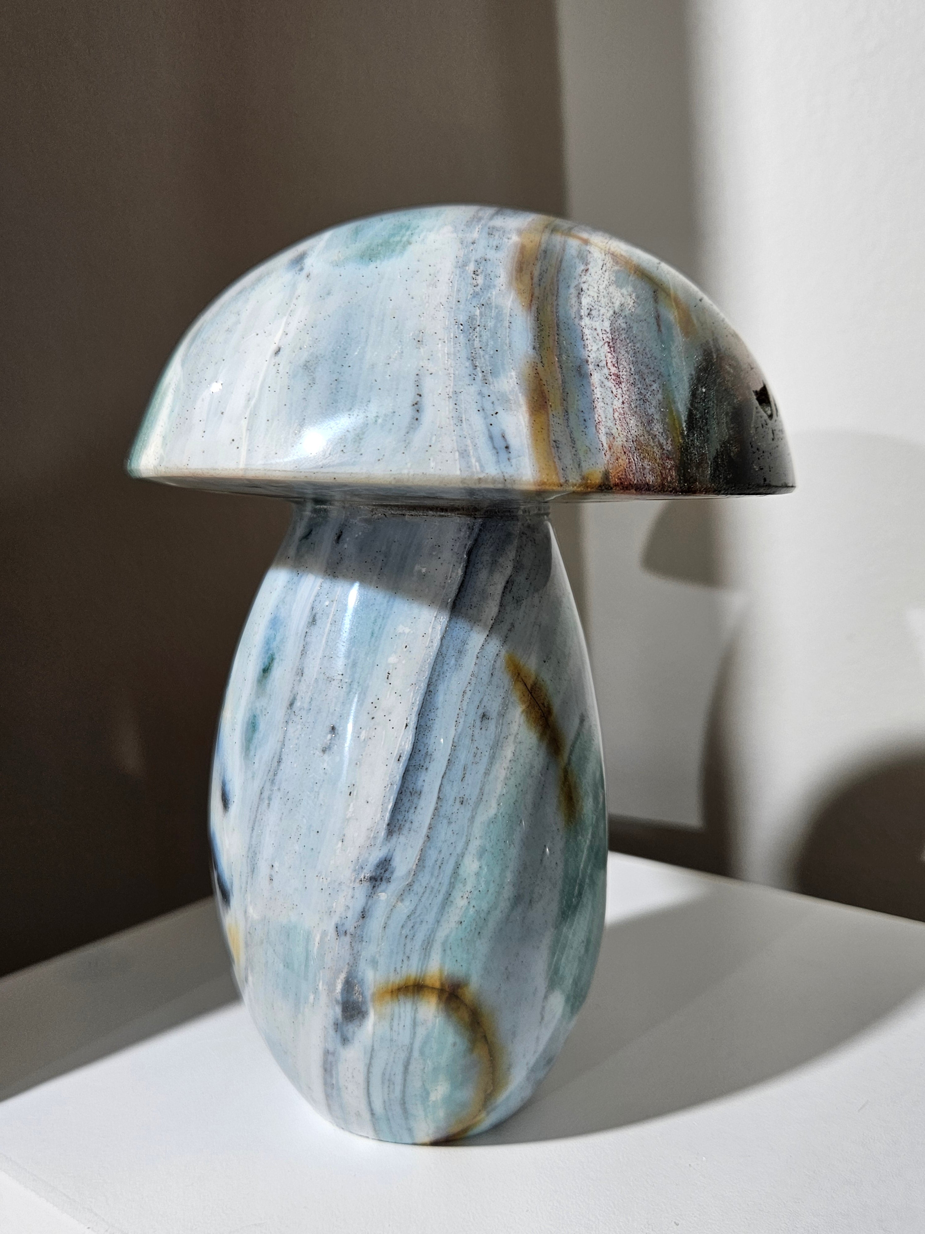 Sea Jasper Mushroom 012