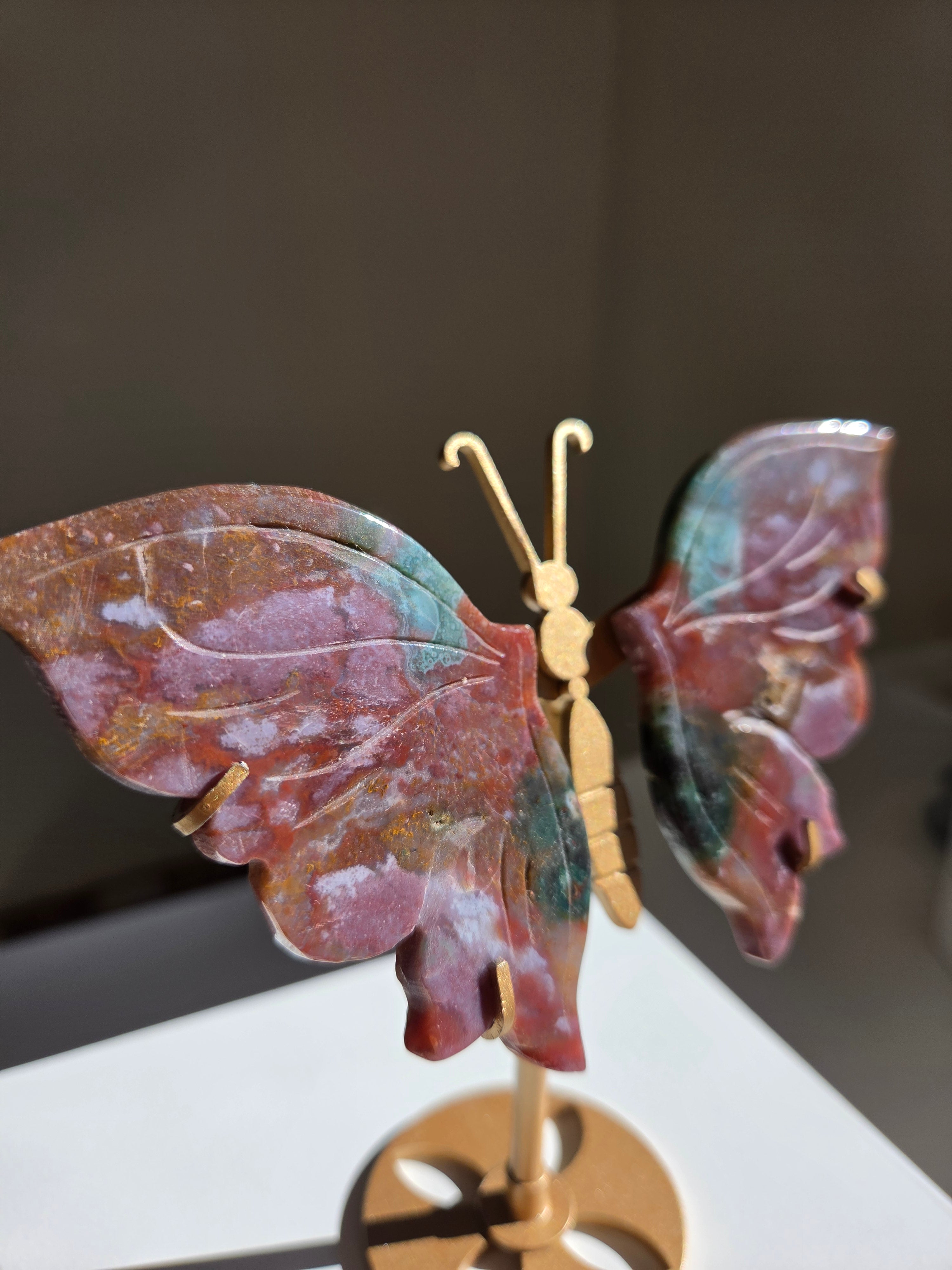 Sea Jasper Butterfly 001