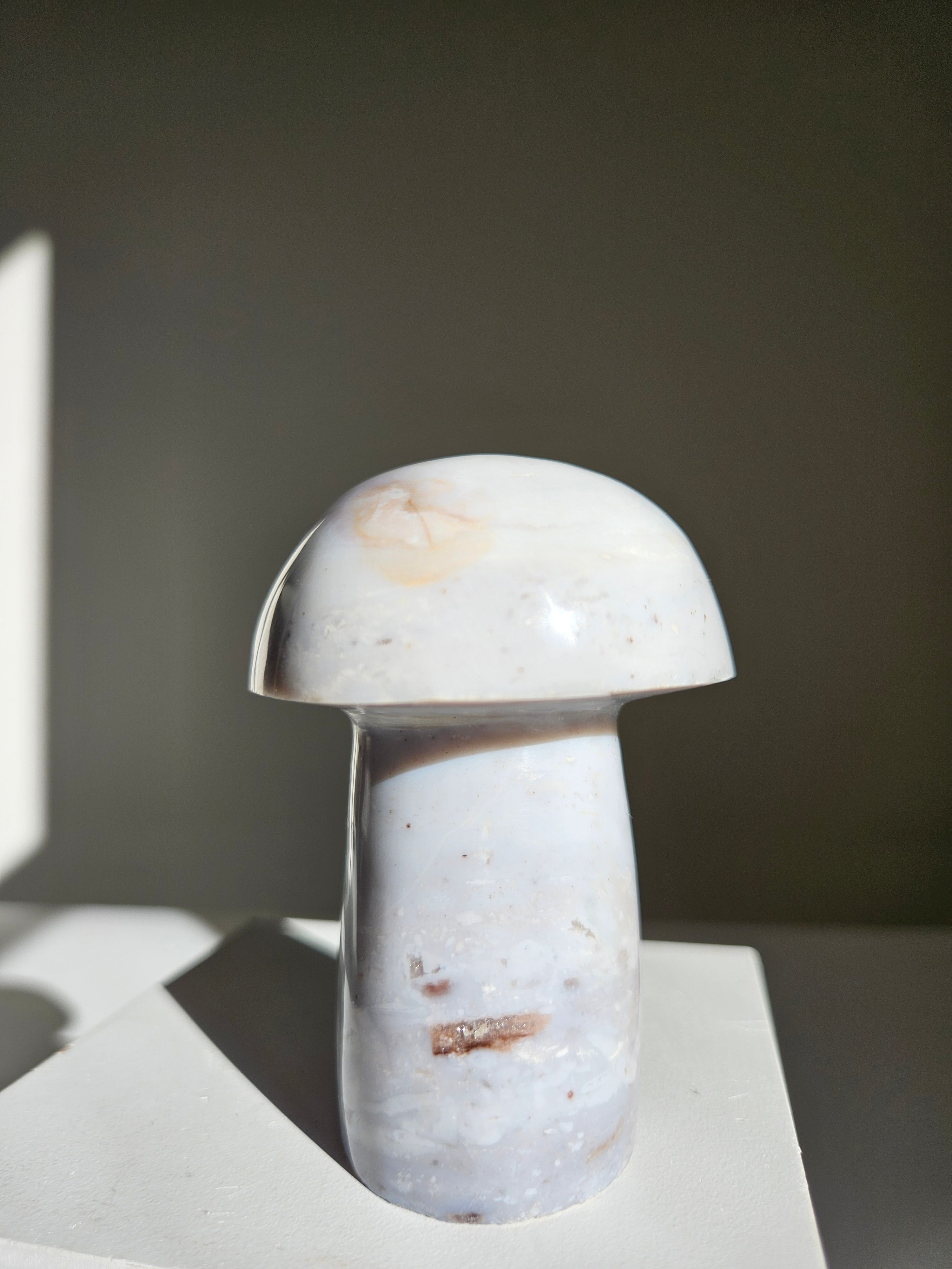 Sea jasper mushroom 005
