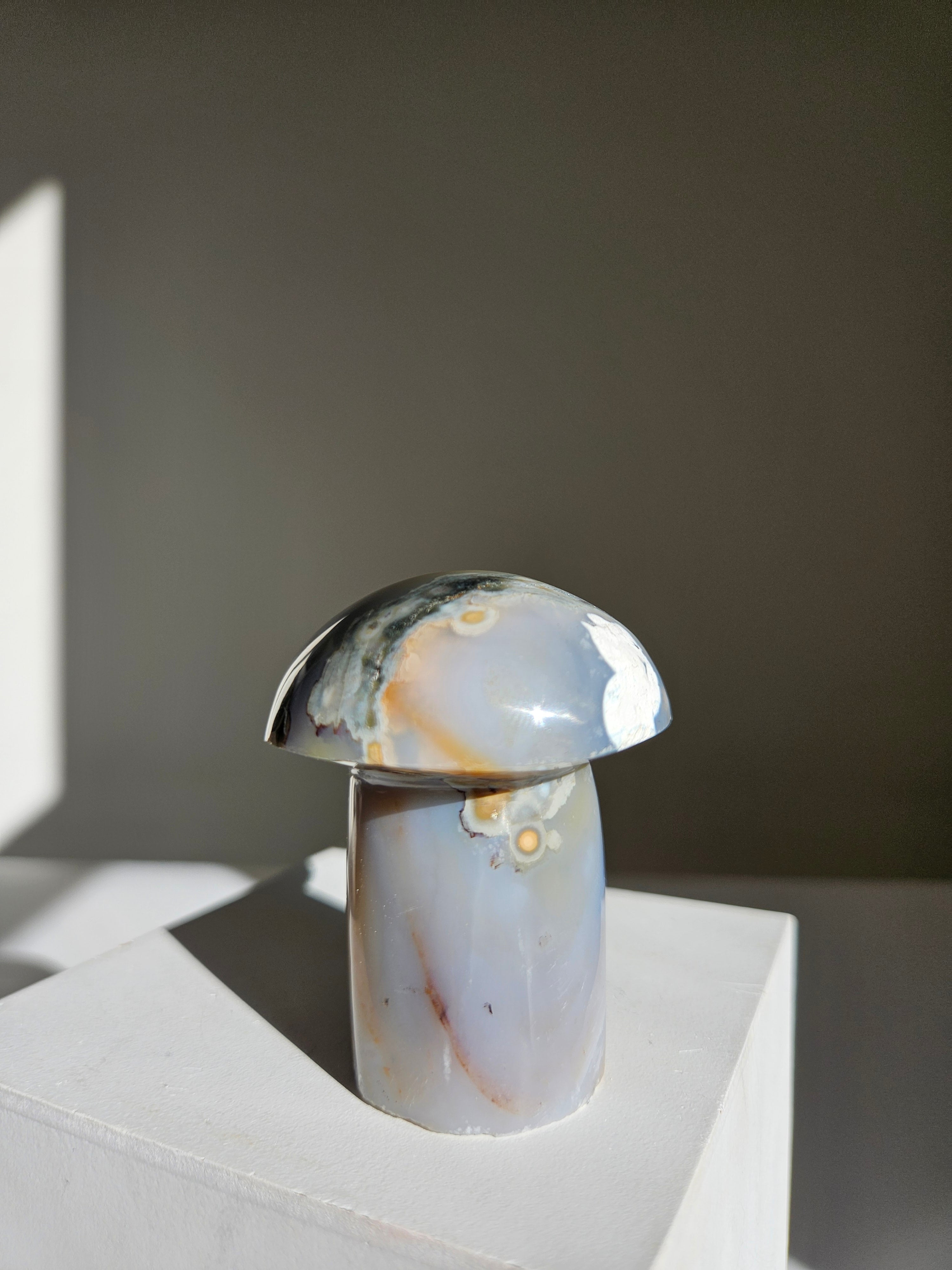 Sea jasper mushroom 004