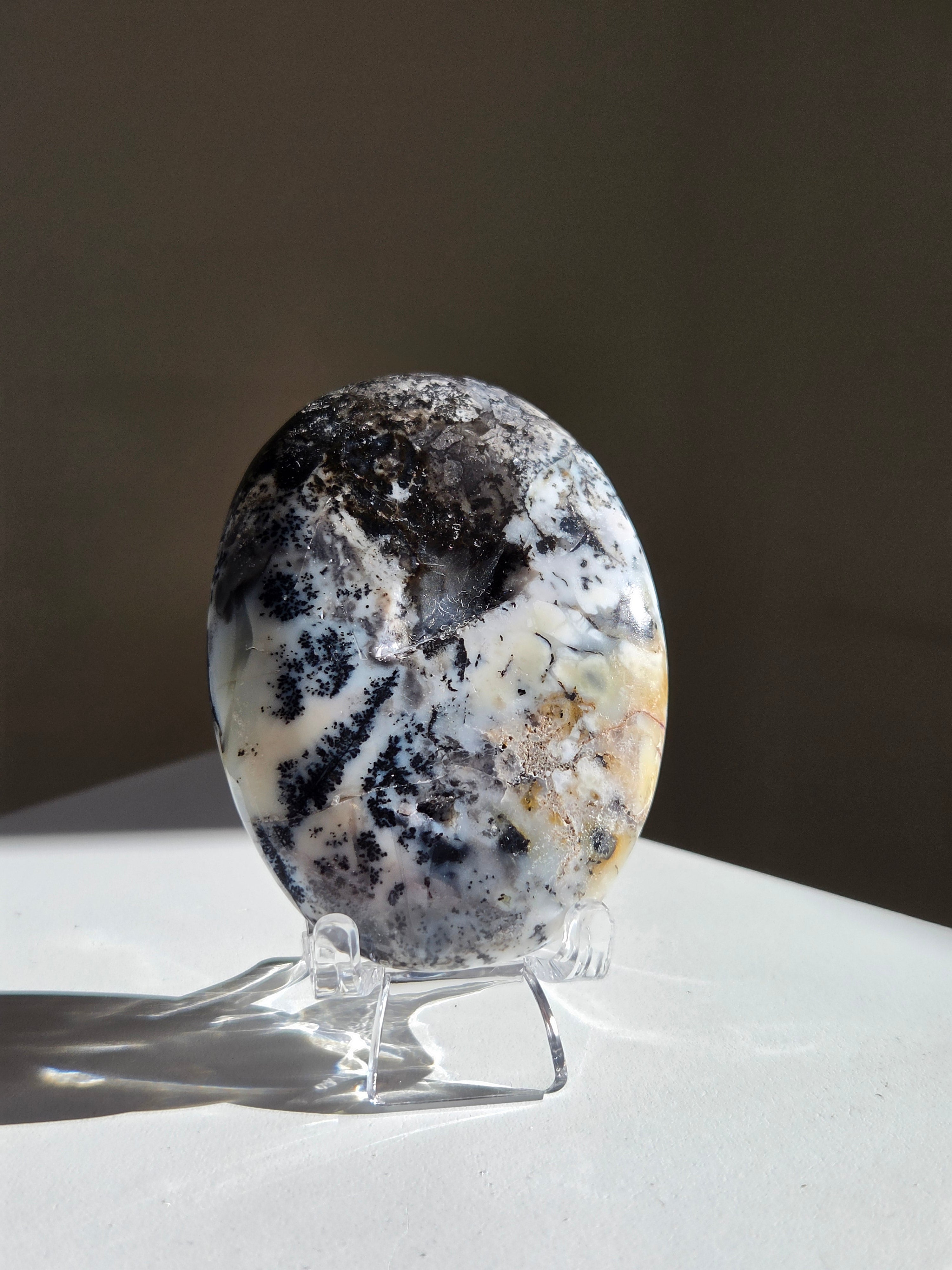 Dendritic Opal Palm 008