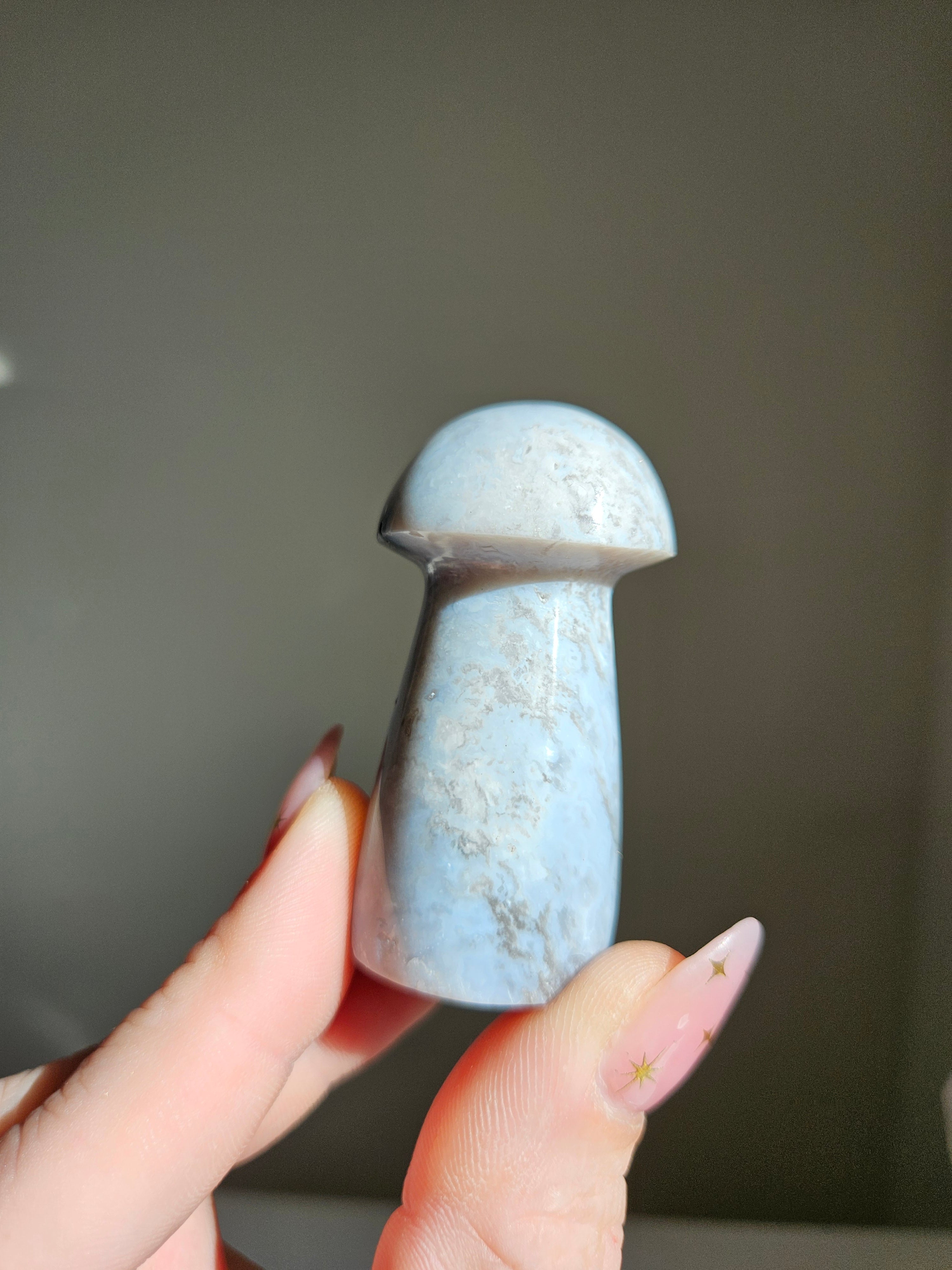 Blue Agate Mushroom 003