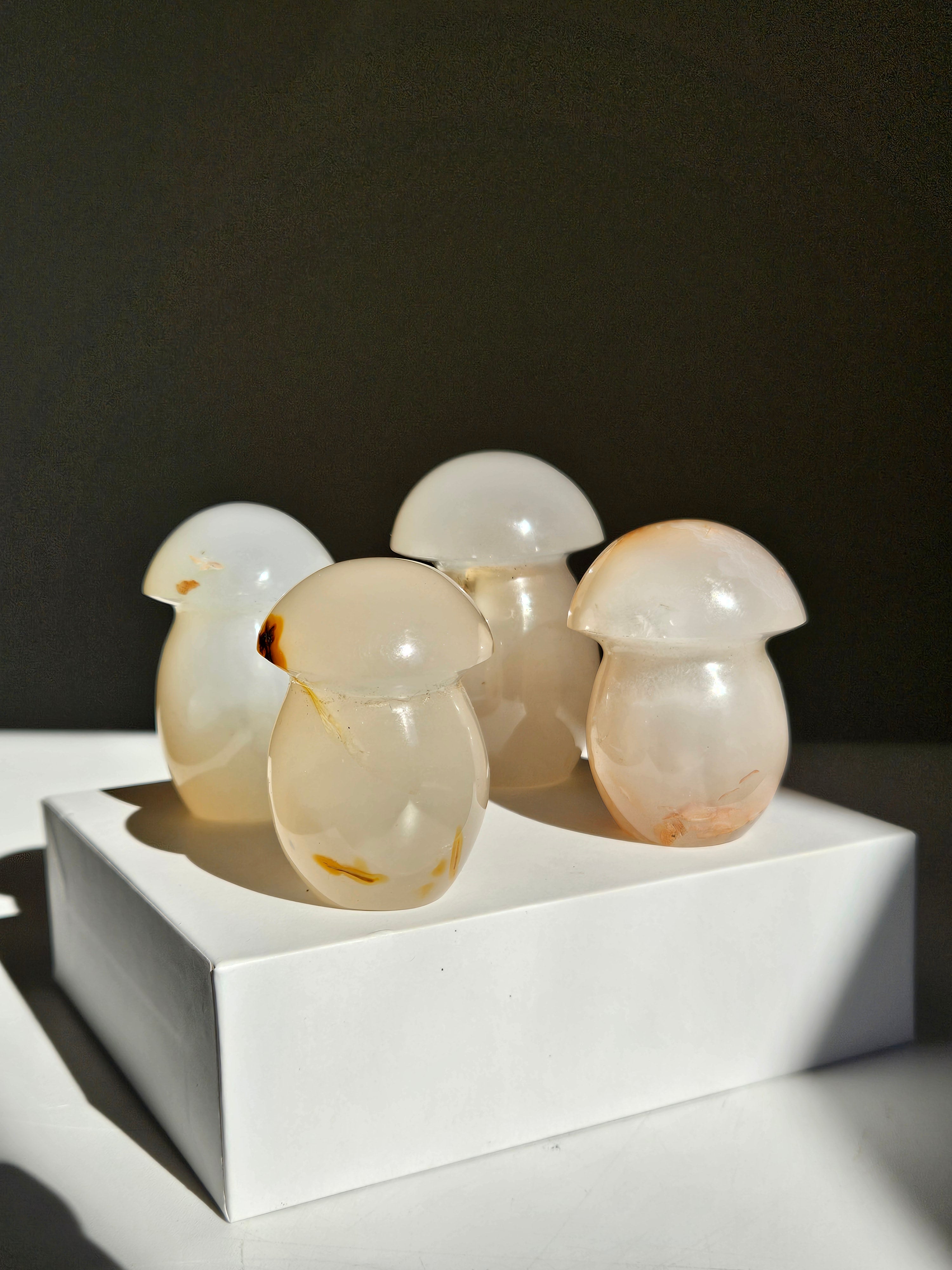 Agate Mushroom | Intuitively selected