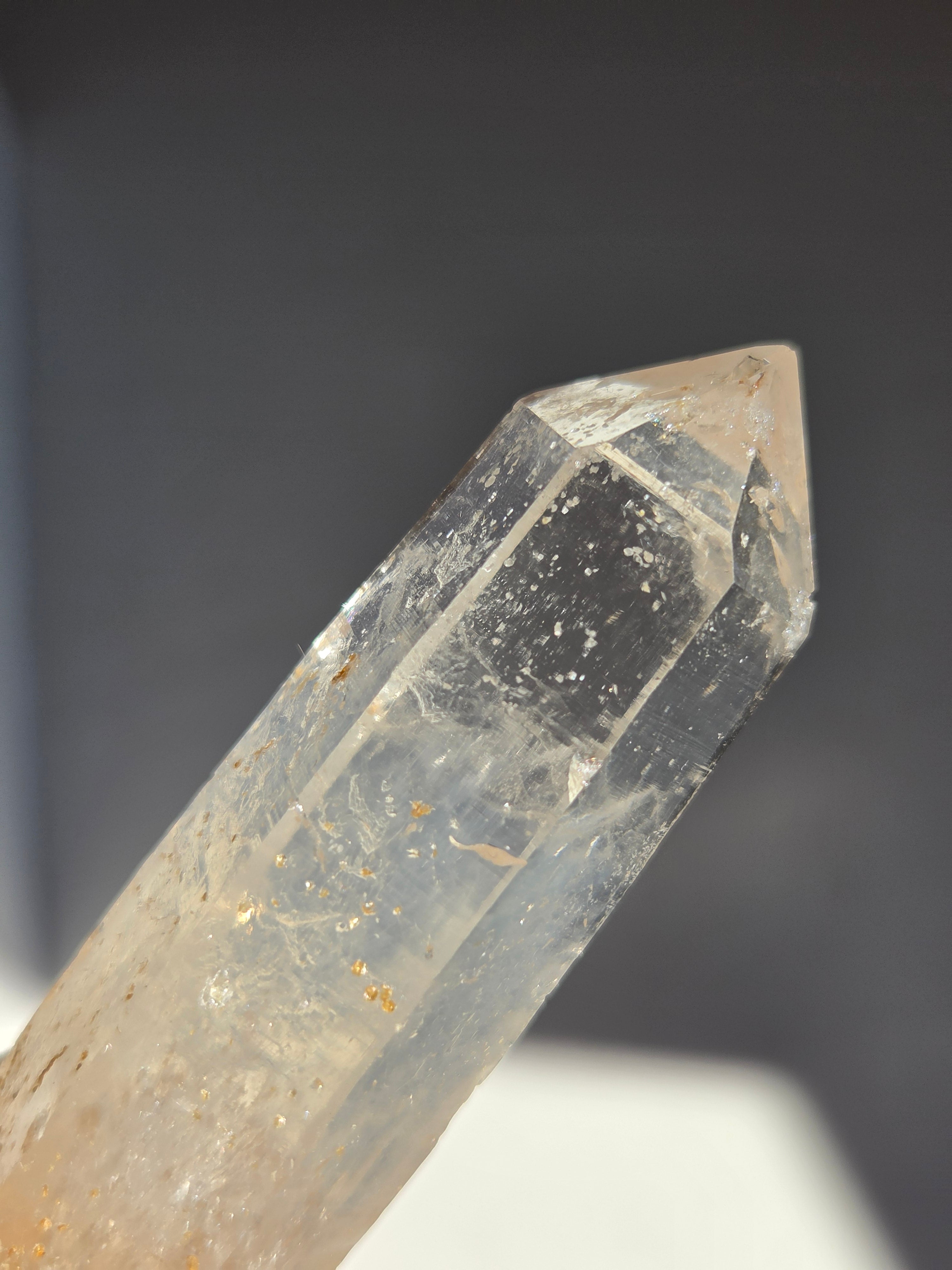 Blue Smoke Colombian Lemurian 003