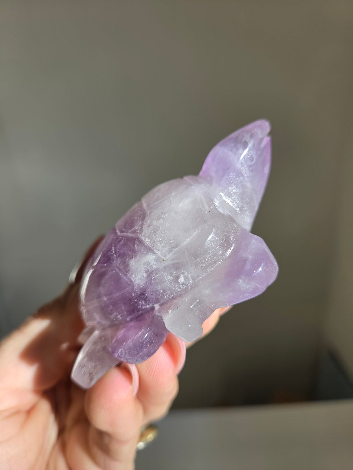 Amethyst Turtle 001