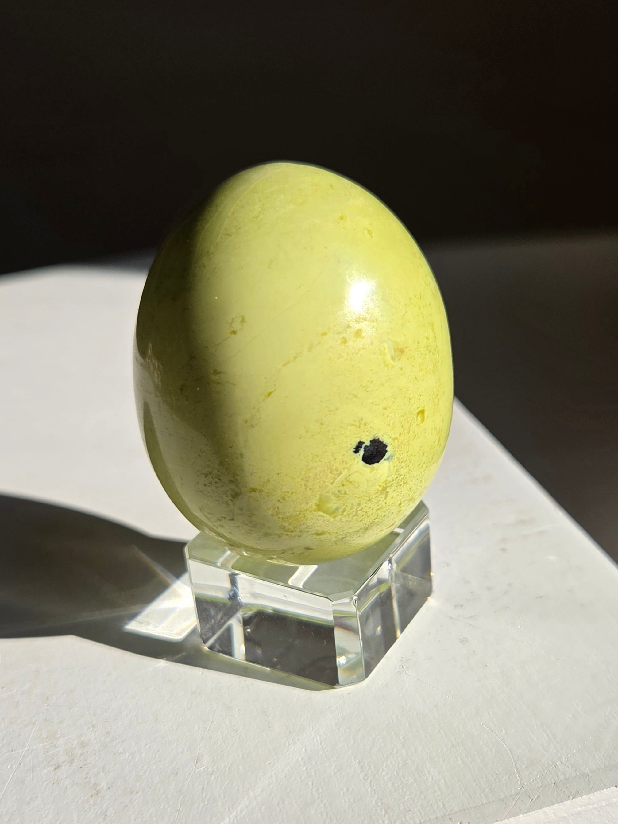Serpentine Egg 001