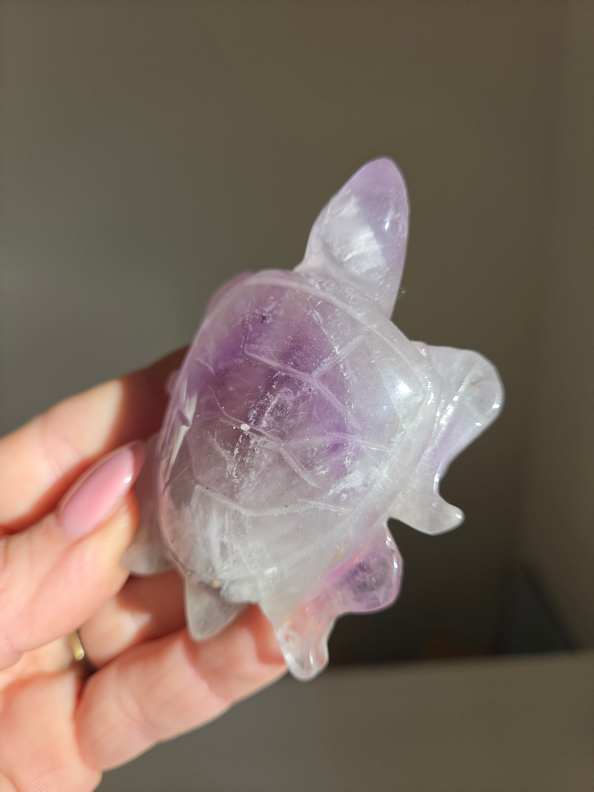 Amethyst Turtle 006