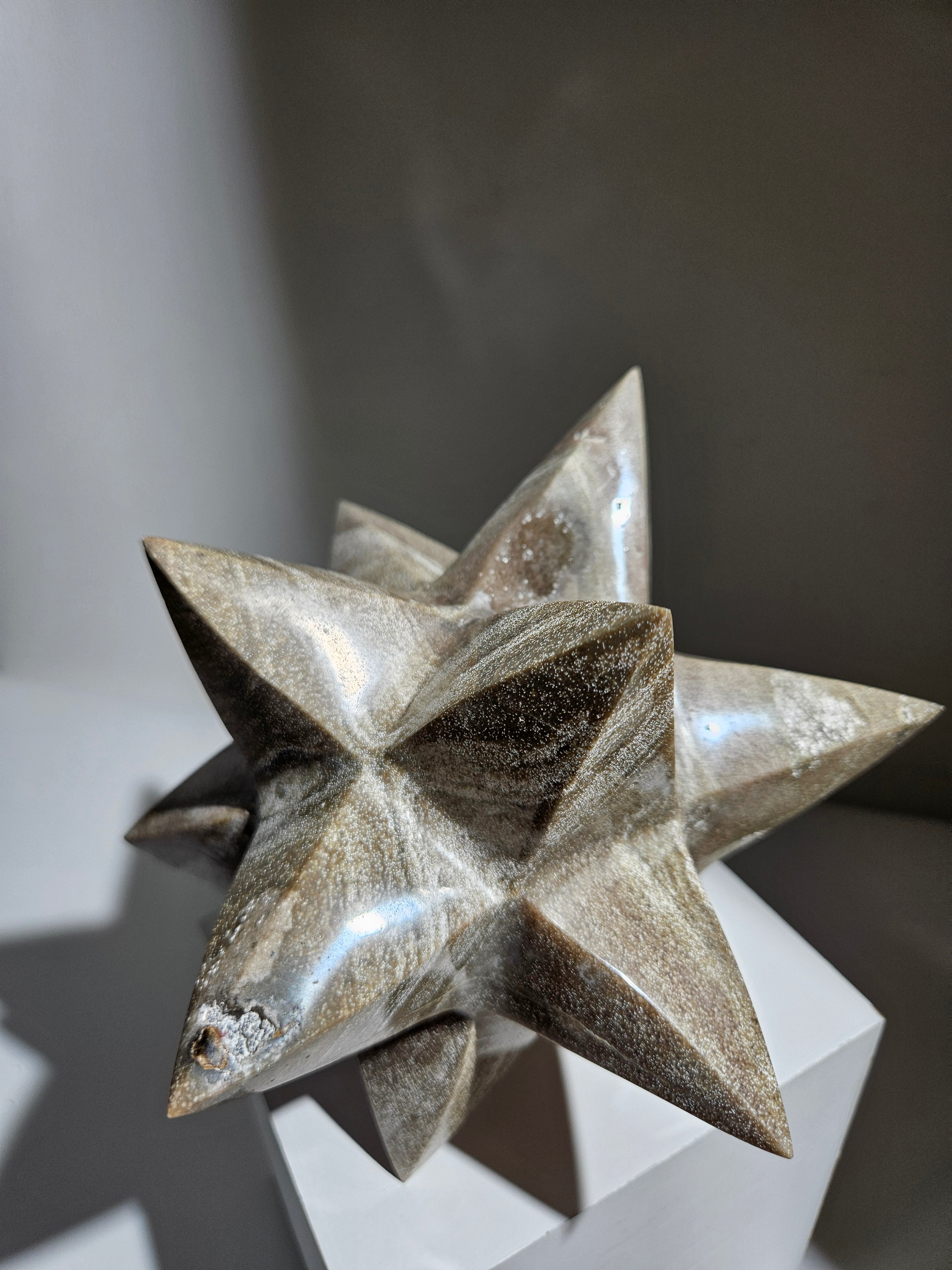 Sea Jasper Asteroid 004