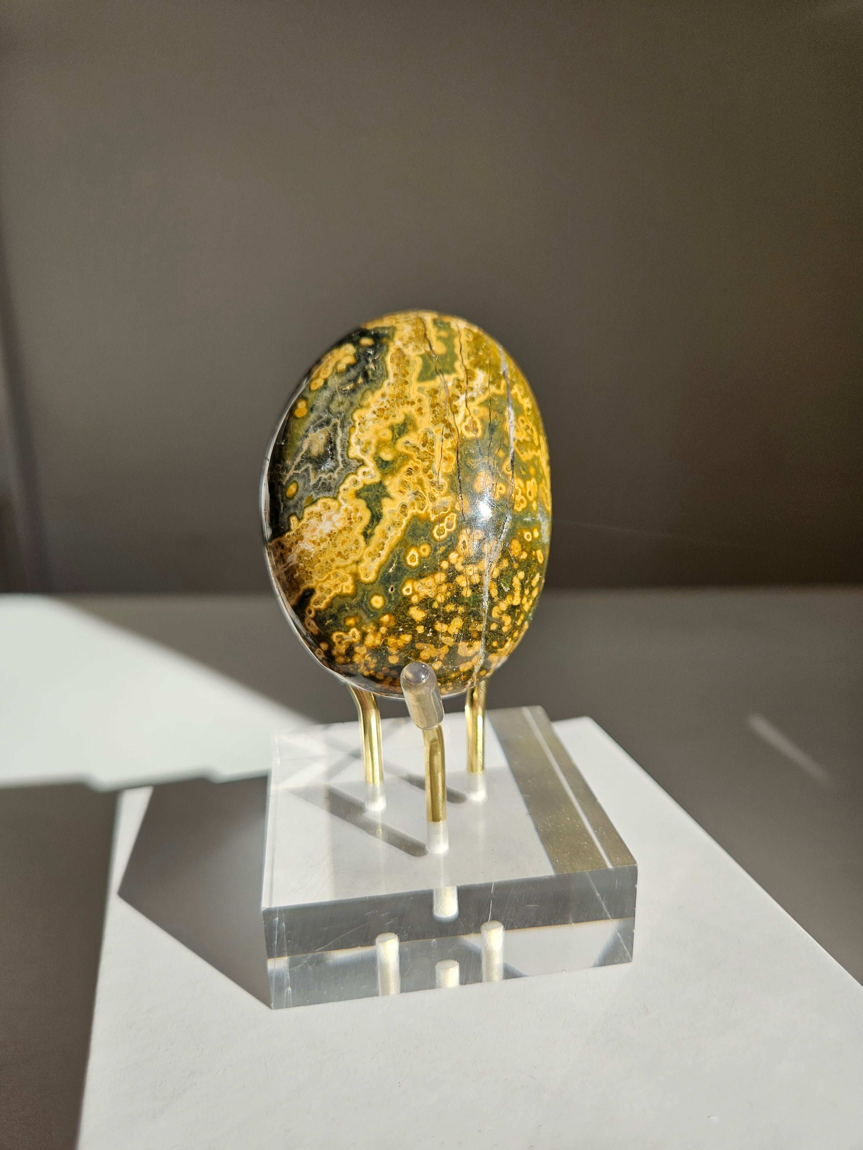 Sea Jasper Palmstone 030