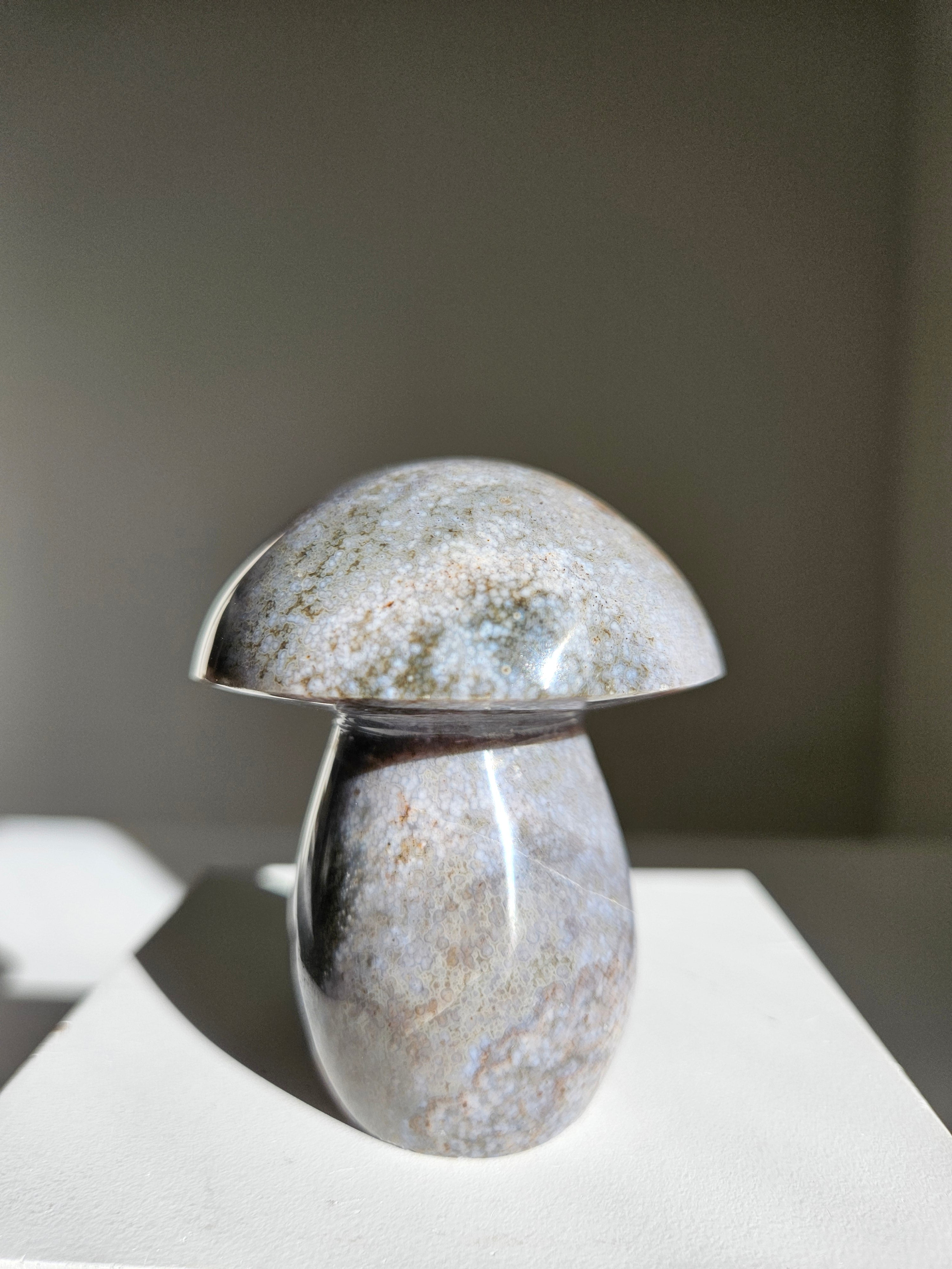Sea jasper mushroom 007