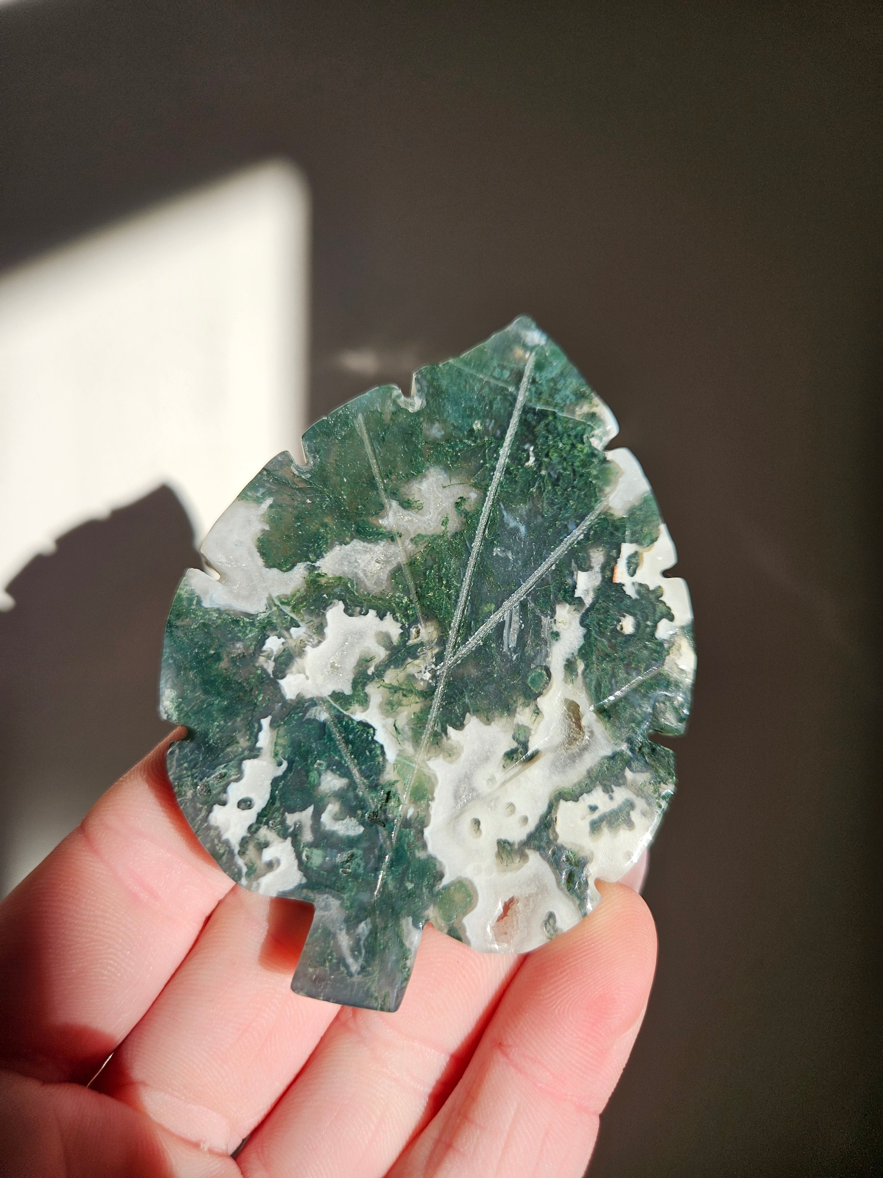 Moss Agate Leaf 001