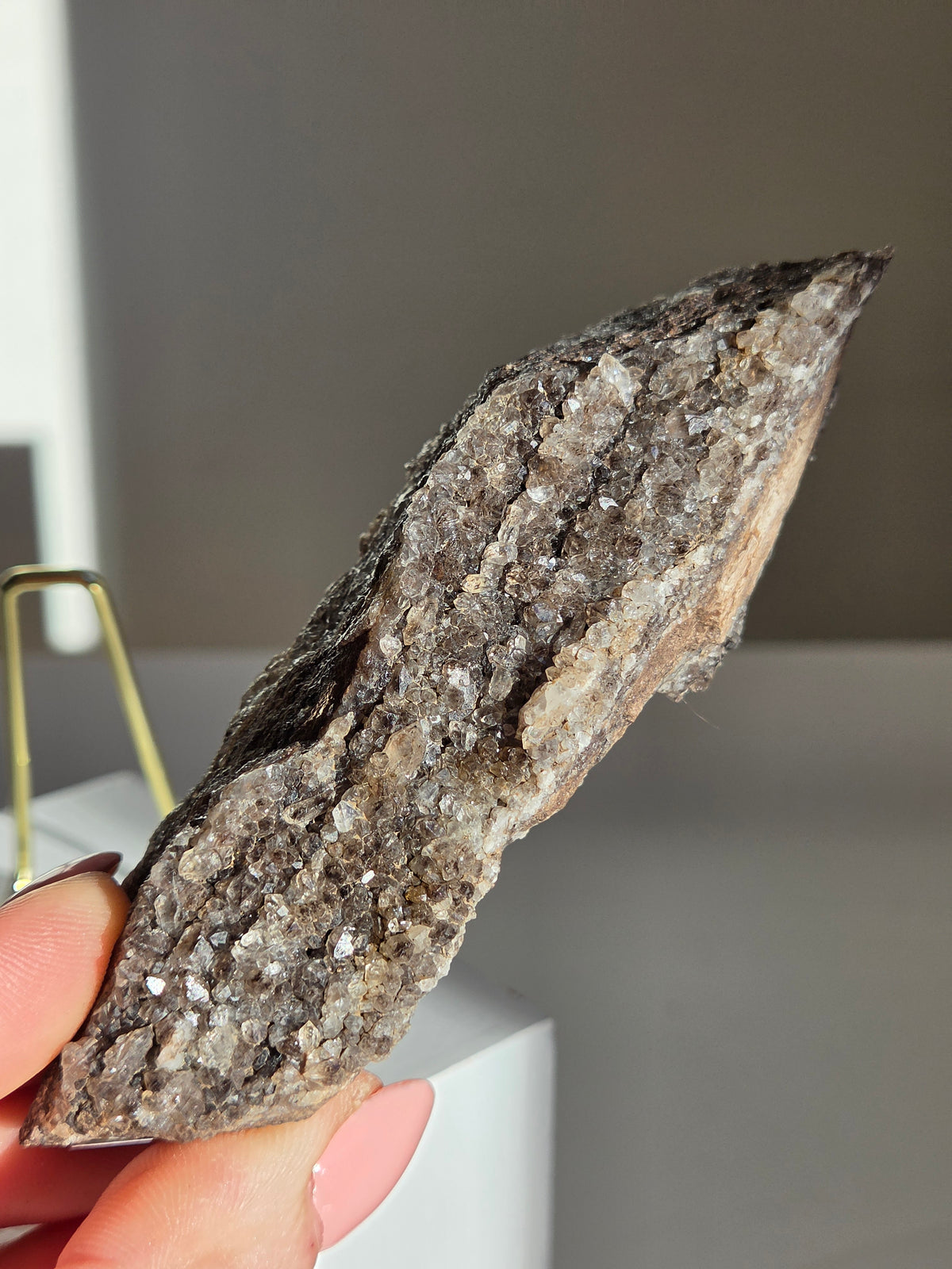 Smoky Quartz on Fossilized Wood 004