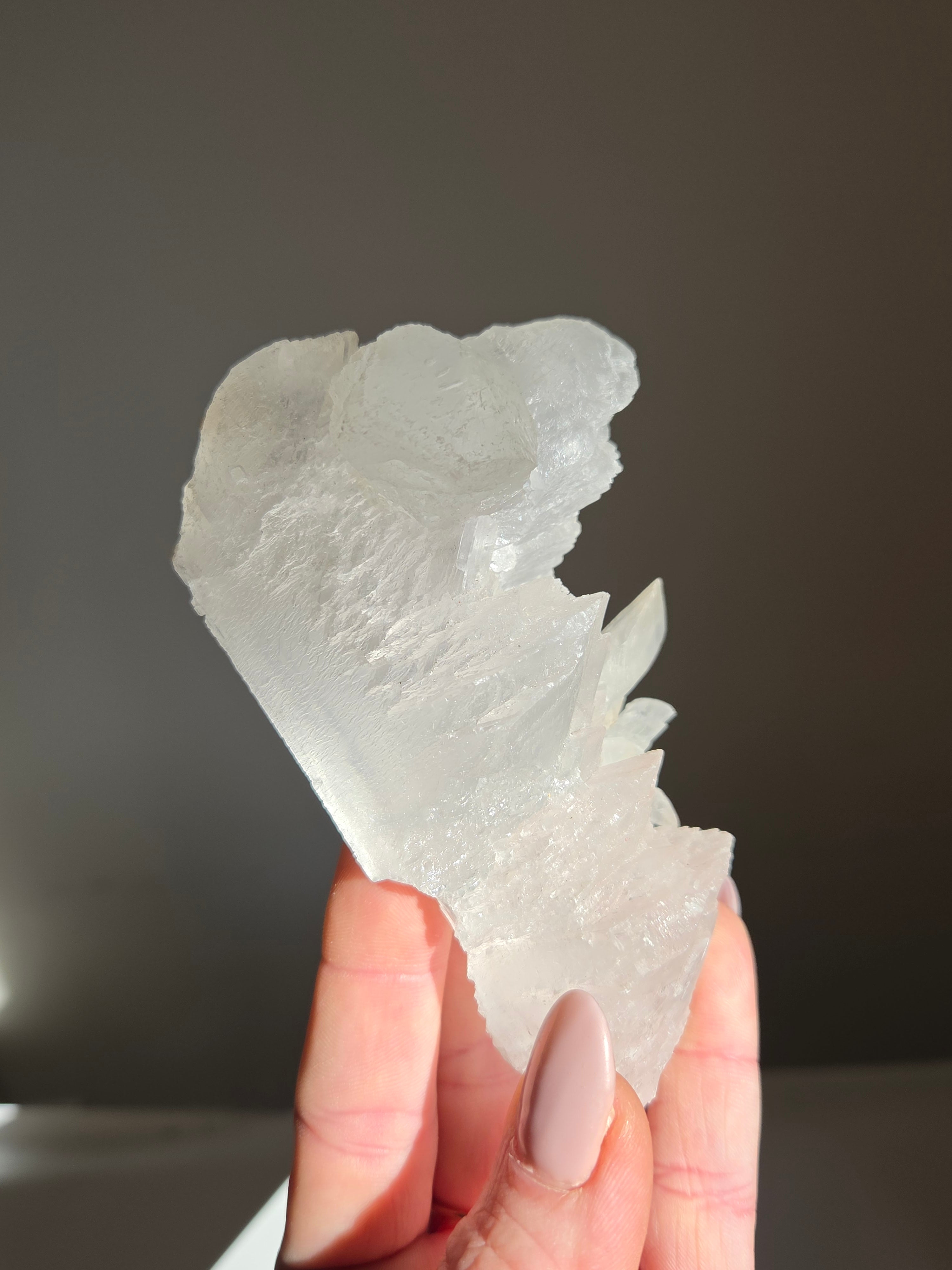 Fishtail Selenite 001