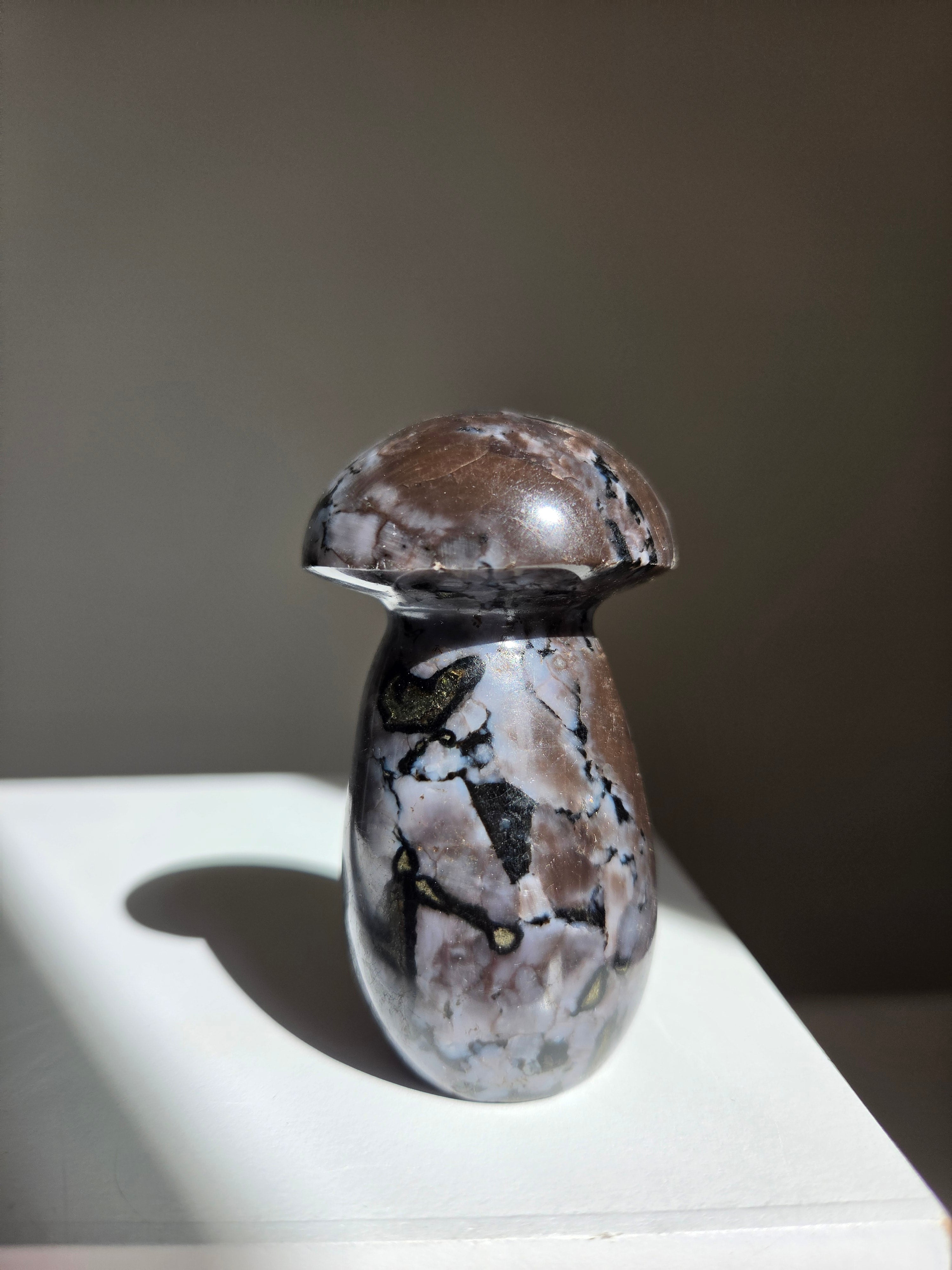 Indigo Gabbro Mushroom 002