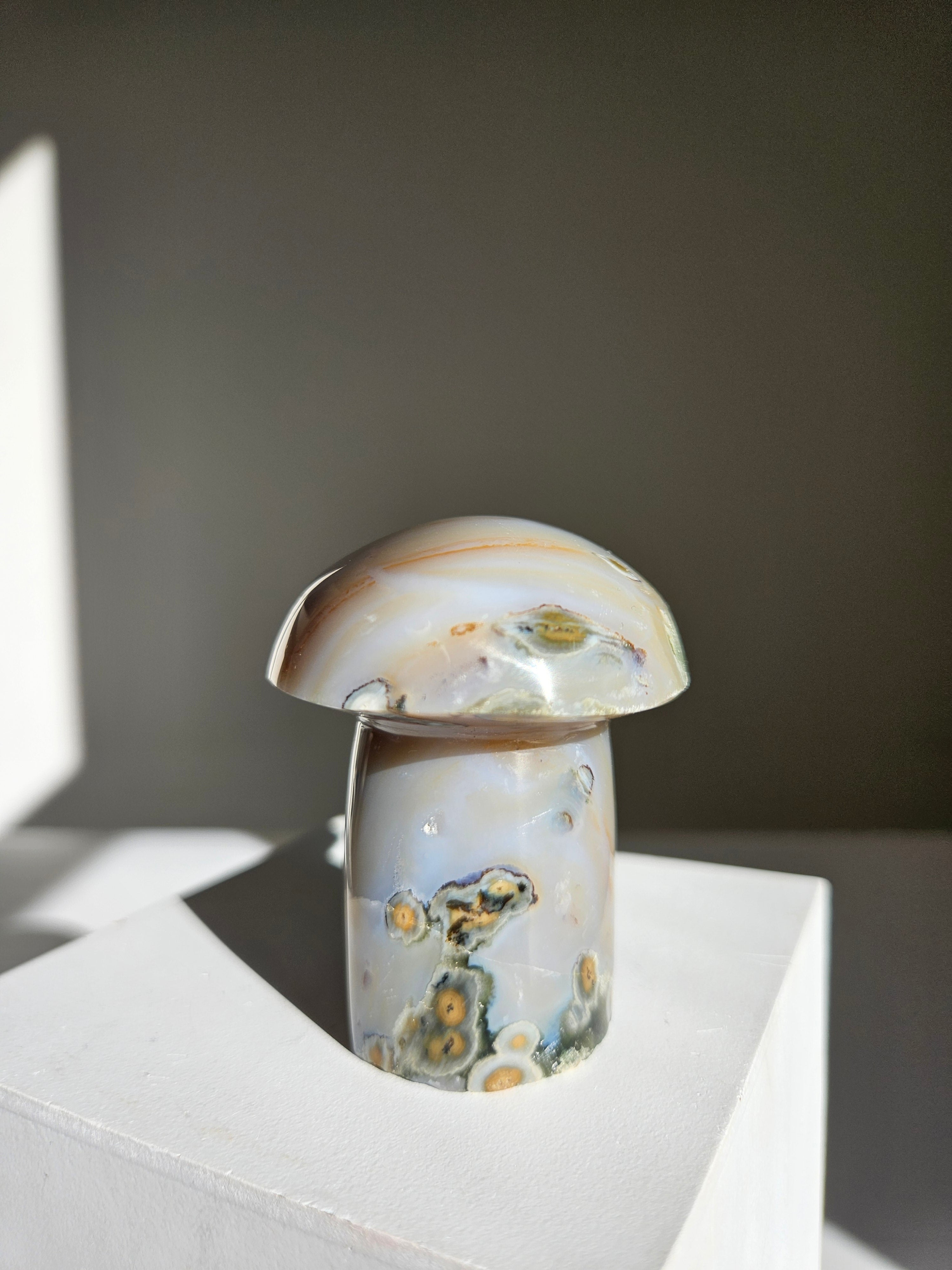 Sea jasper mushroom 004
