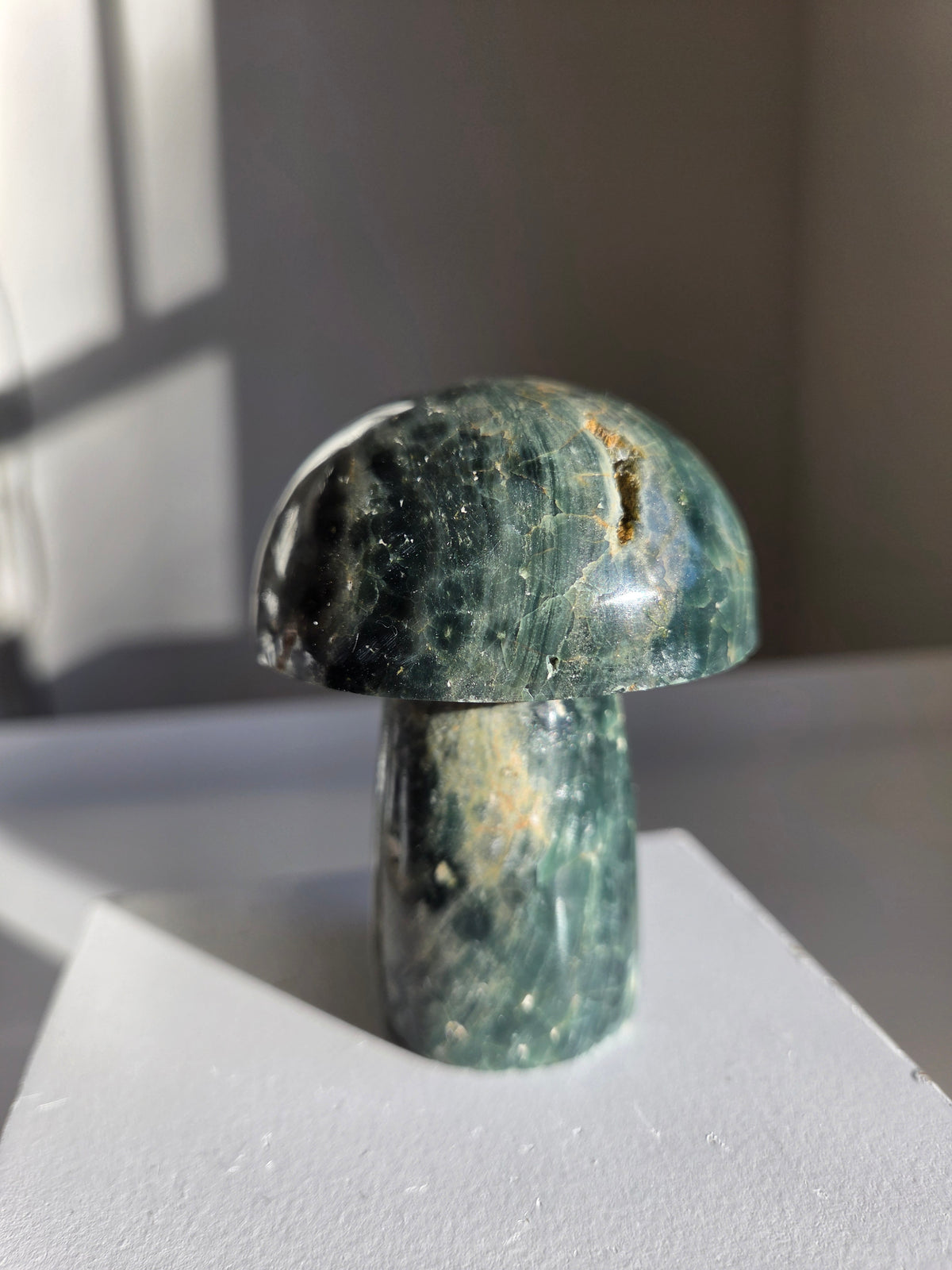 Sea Jasper Mushroom 001