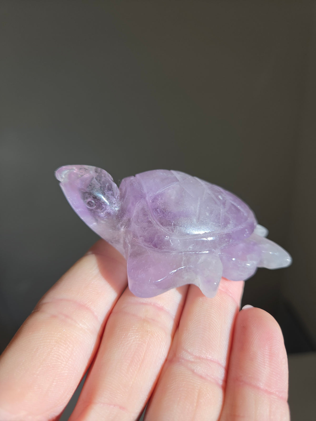 Amethyst Turtle 004