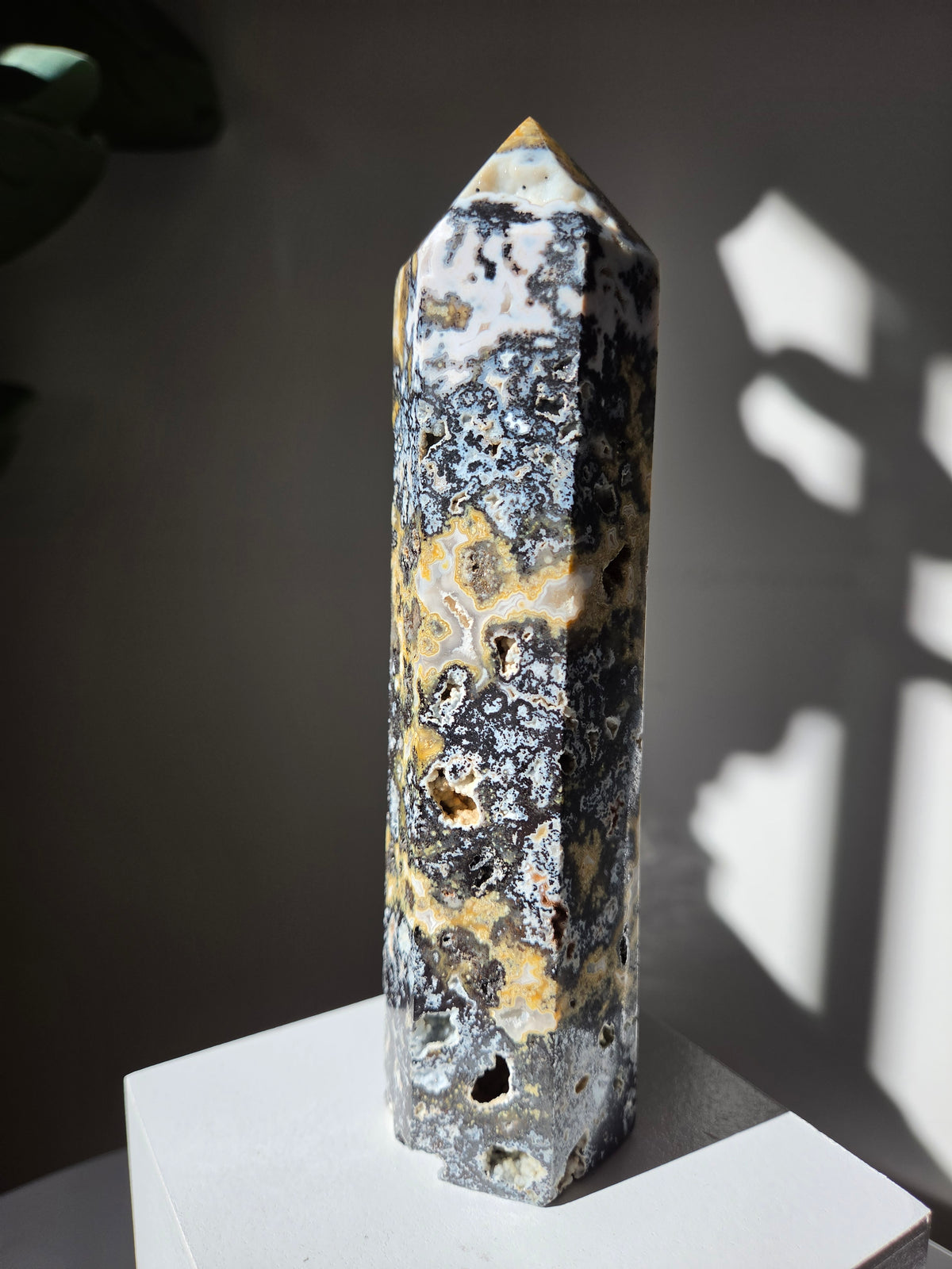 Sea Jasper Tower 006